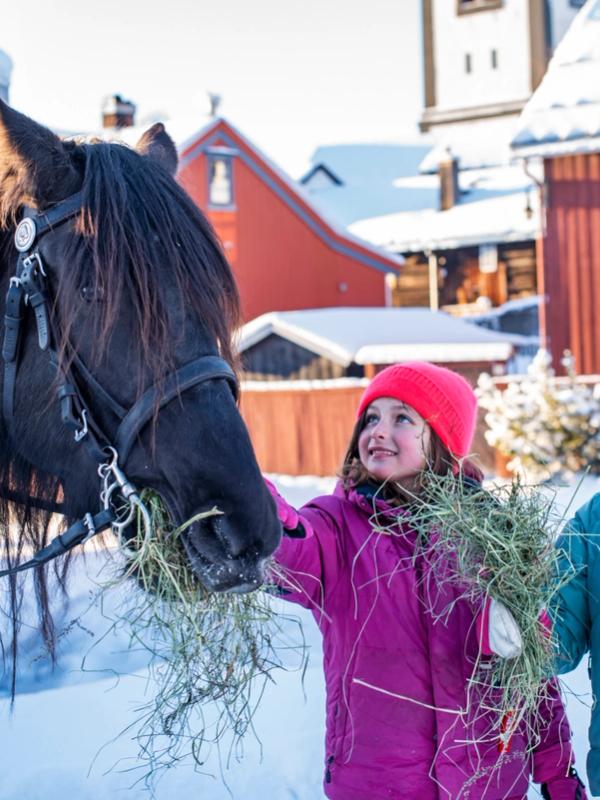 Kids petting a horse in Røros