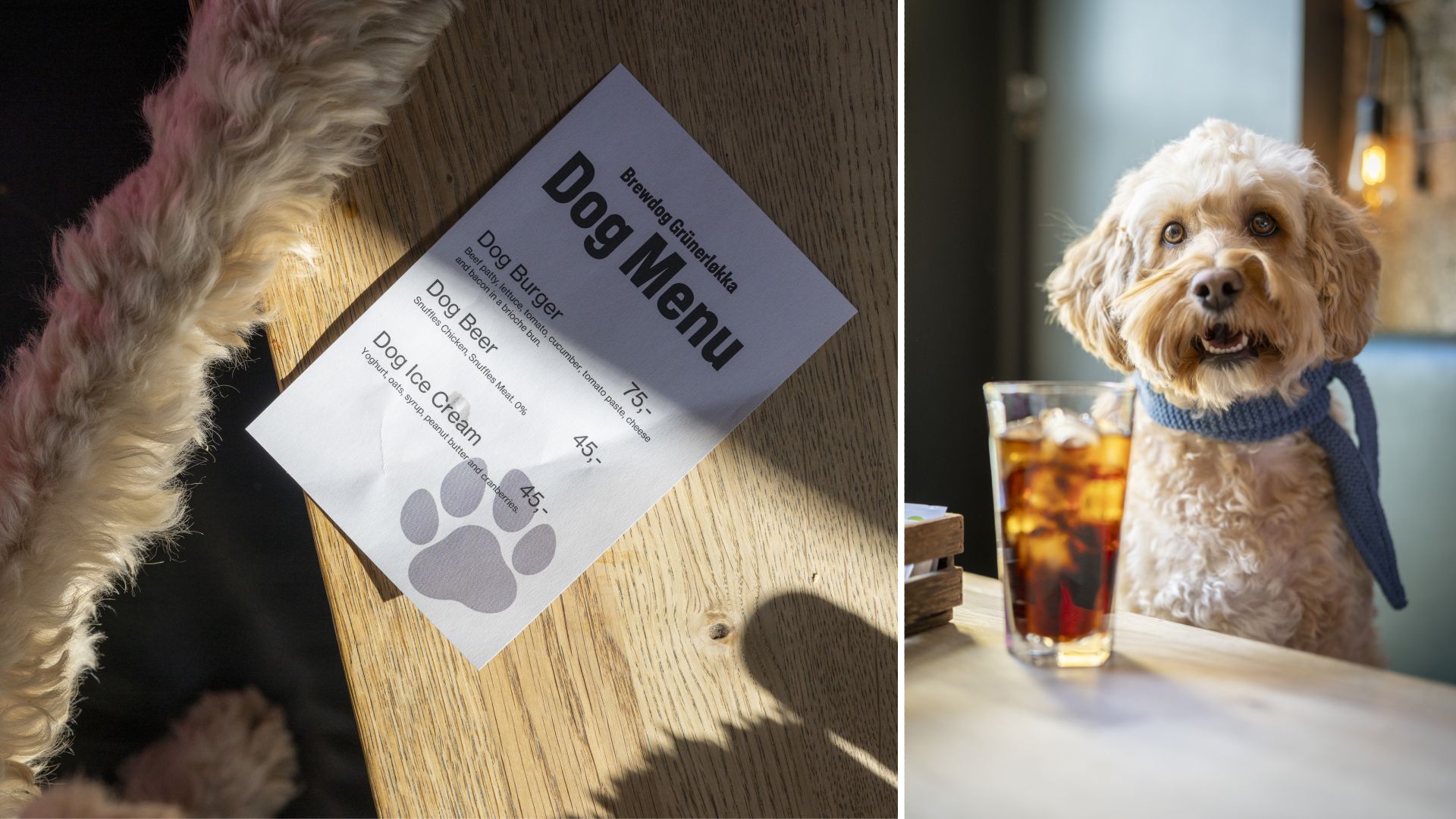 Dog ordering from the dog menu at BD57 in Grünerløkka in Oslo, Eastern Norway