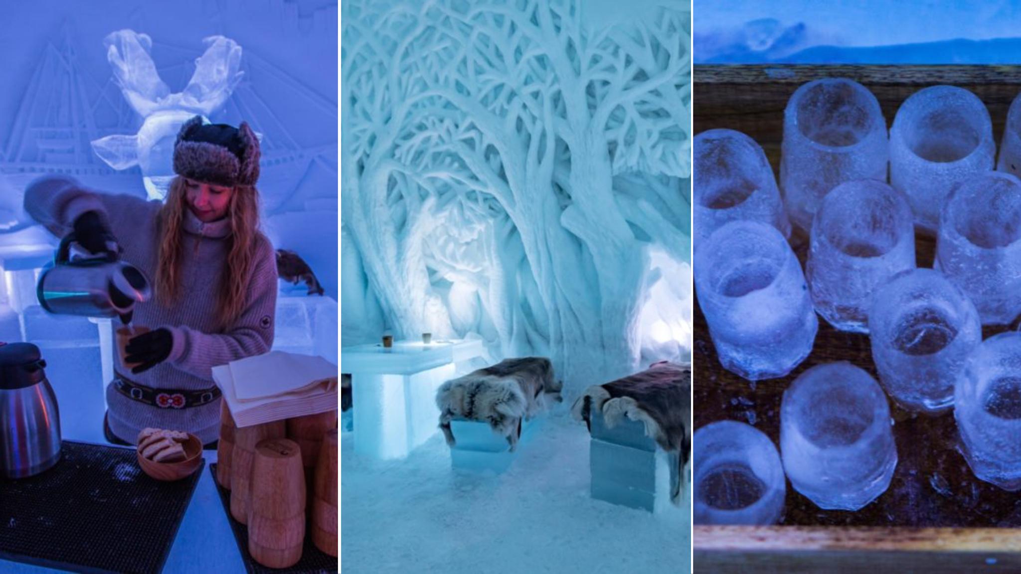 Woman serving coffee in the bar at Tromsø Ice Domes
