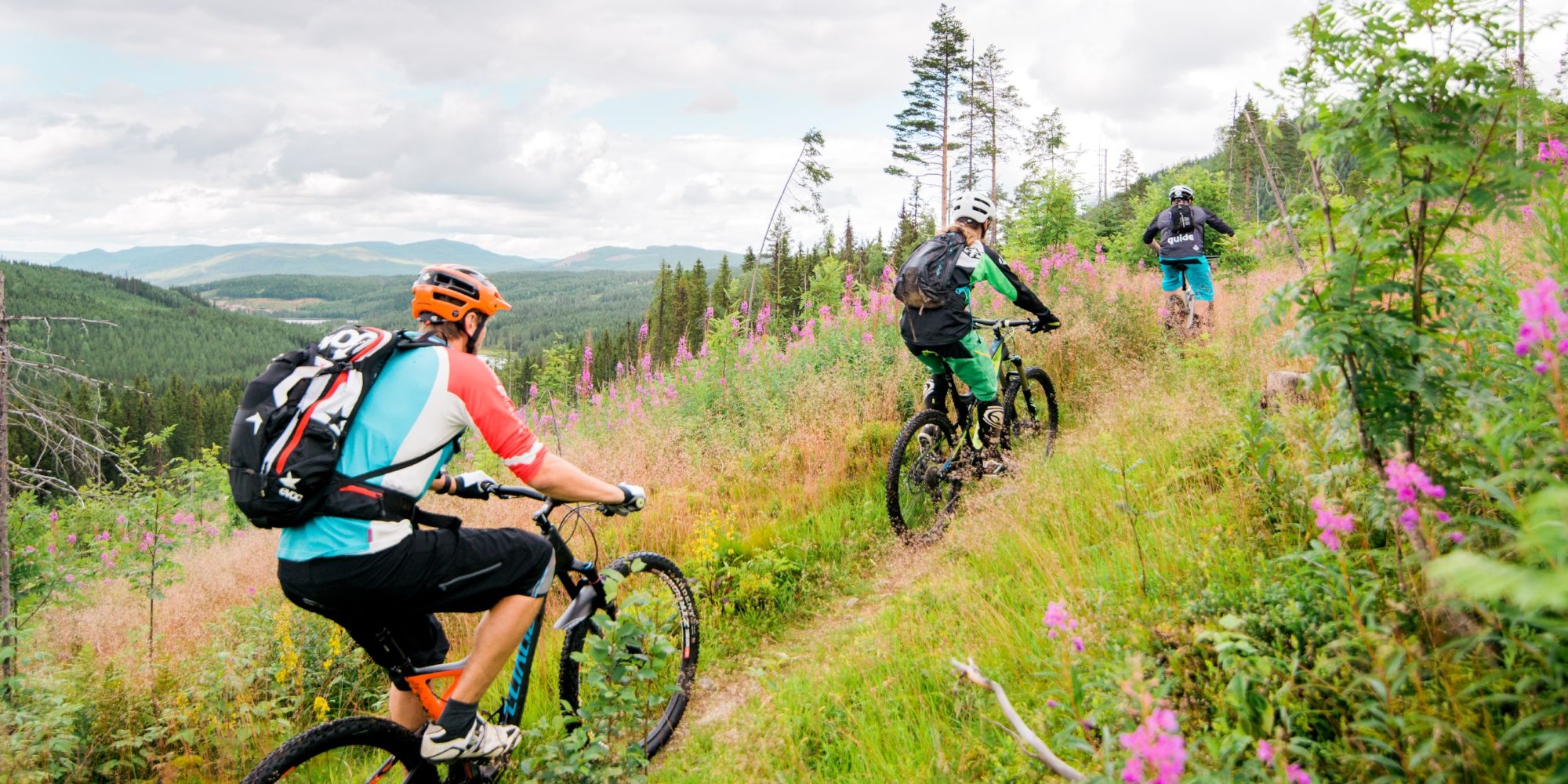 MTB längs hemliga cykelspår i Trysil, Østlandet (östra Norge)