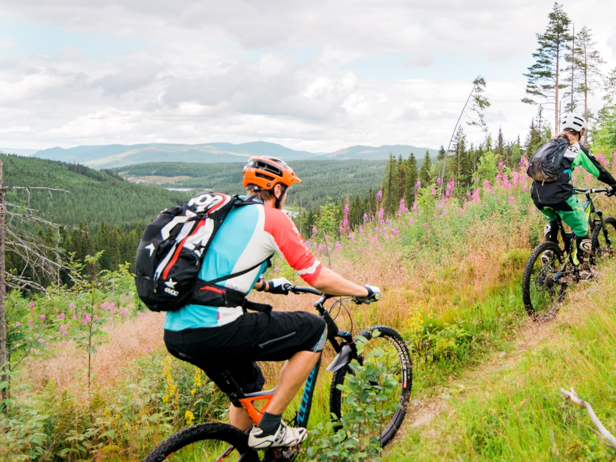 MTB längs hemliga cykelspår i Trysil, Østlandet (östra Norge)