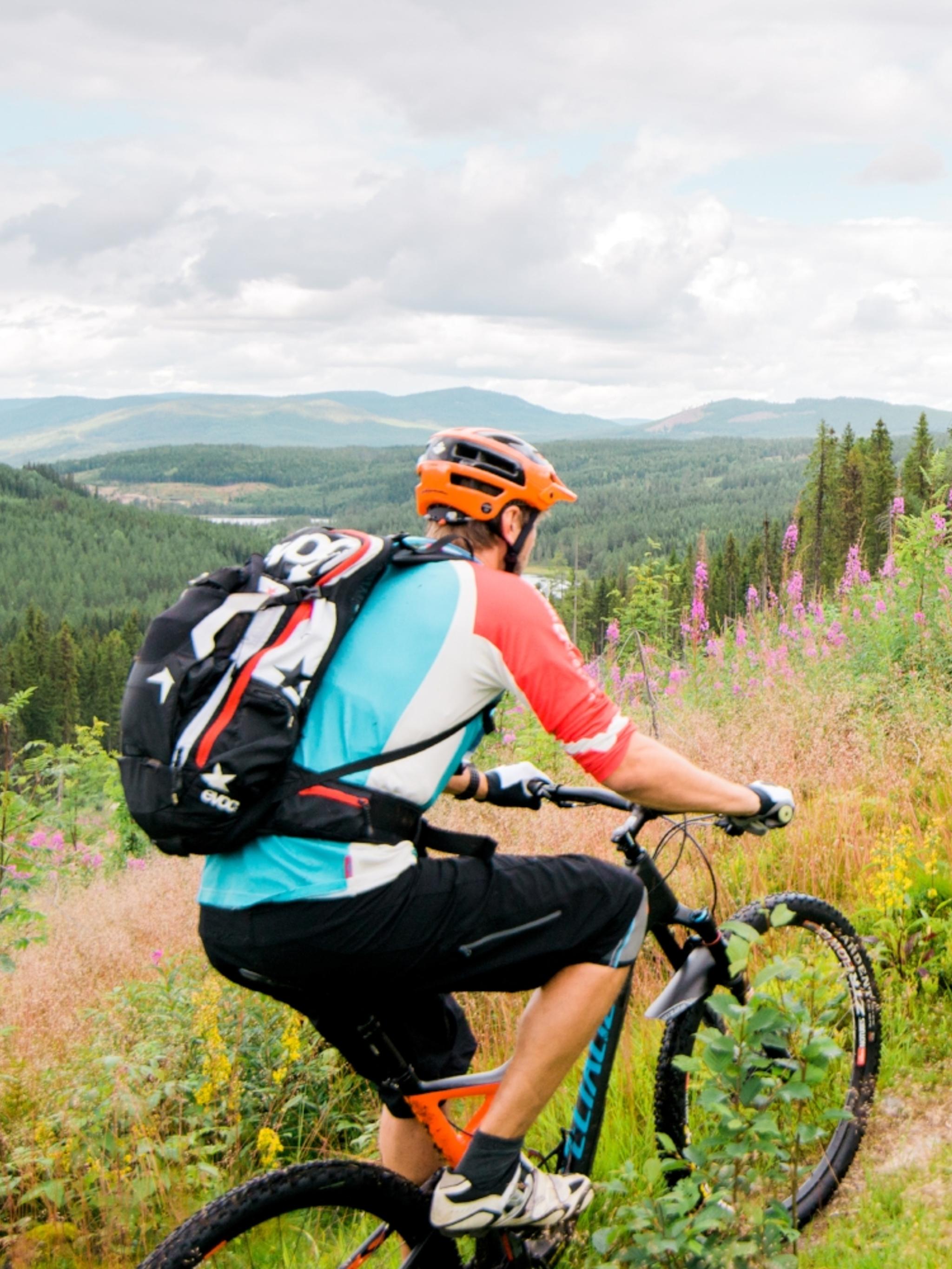 Trail Mountainbiken auf den verborgenen Pfaden in Trysil, Ostnorwegen