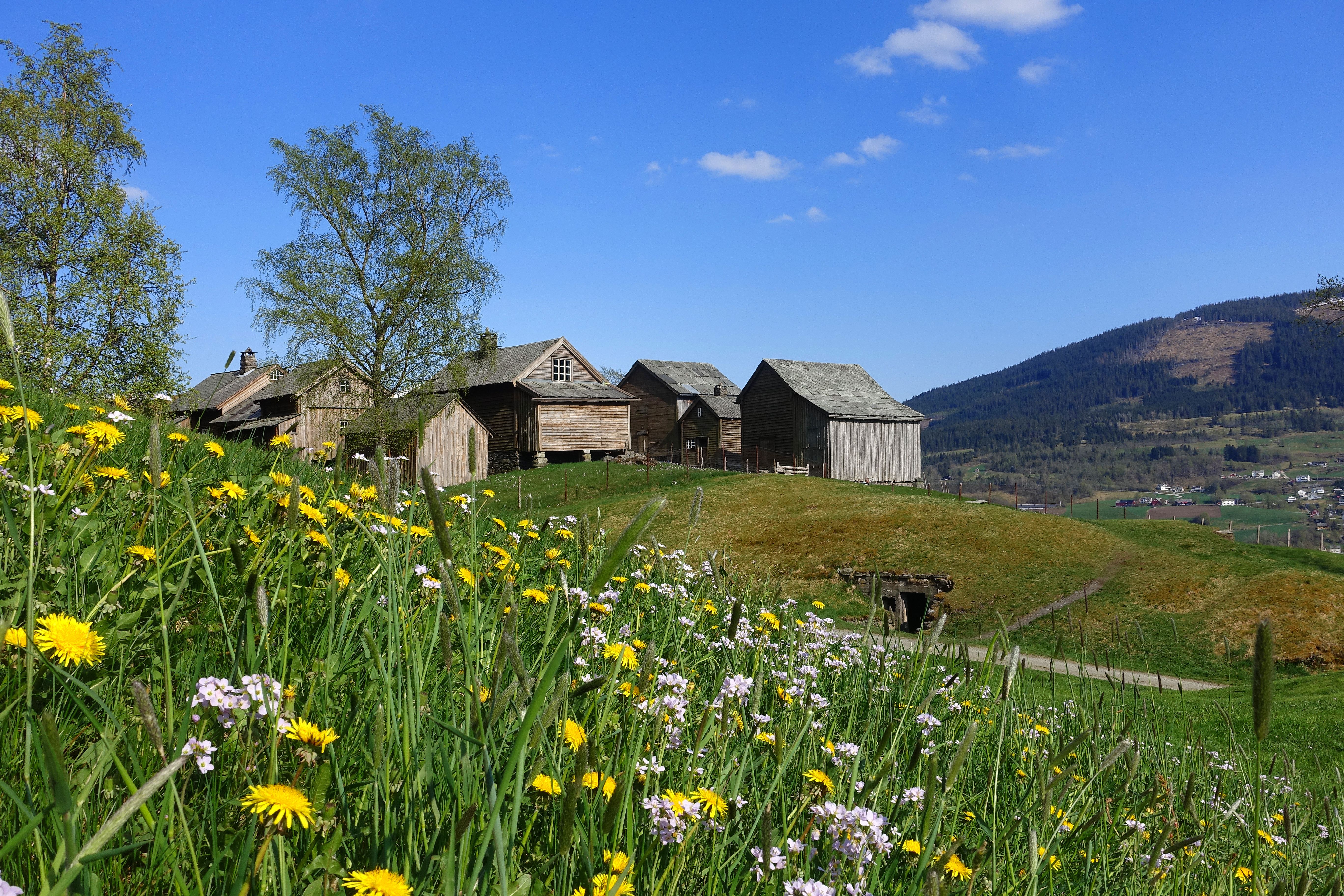 Mølstertunet farm cluster in Voss in Fjord Norway in summer
