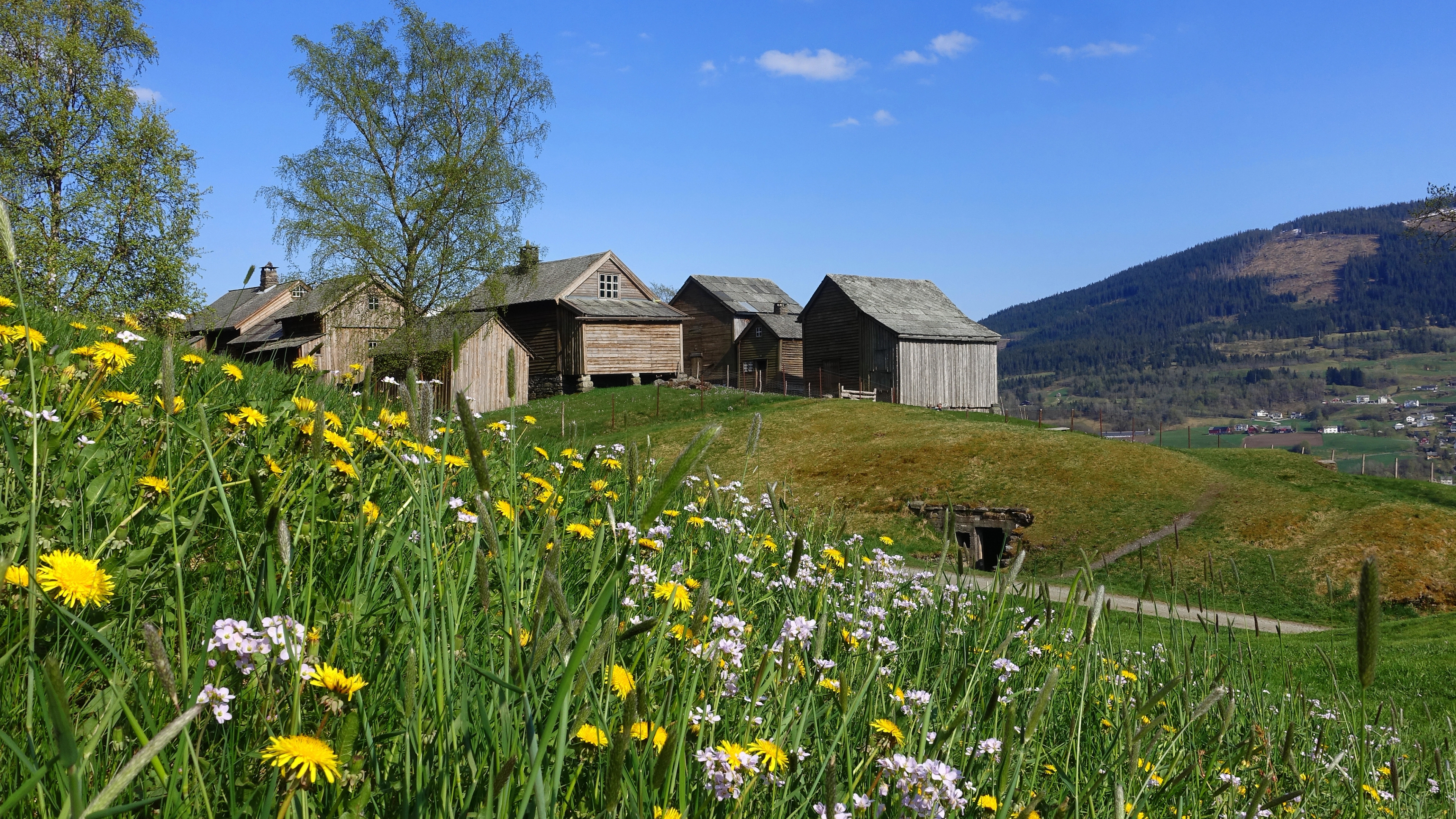 Mølstertunet farm cluster in Voss in Fjord Norway in summer
