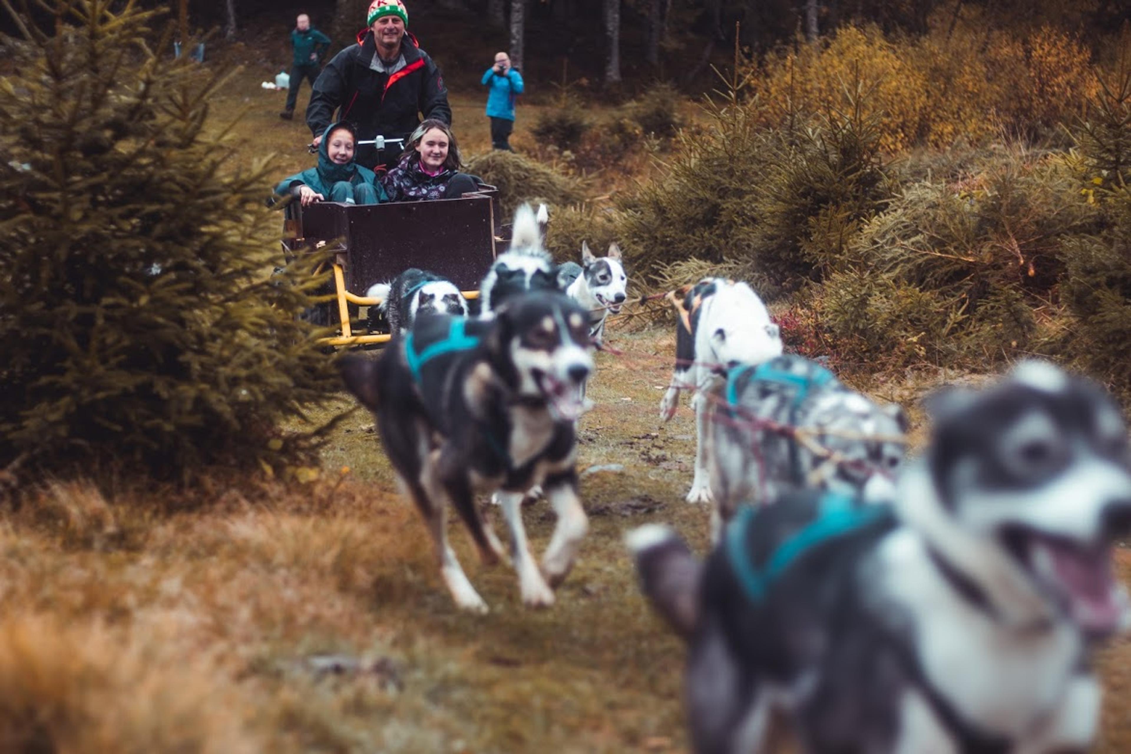 Hundsläde på Bergvang besöksgård i Asker
