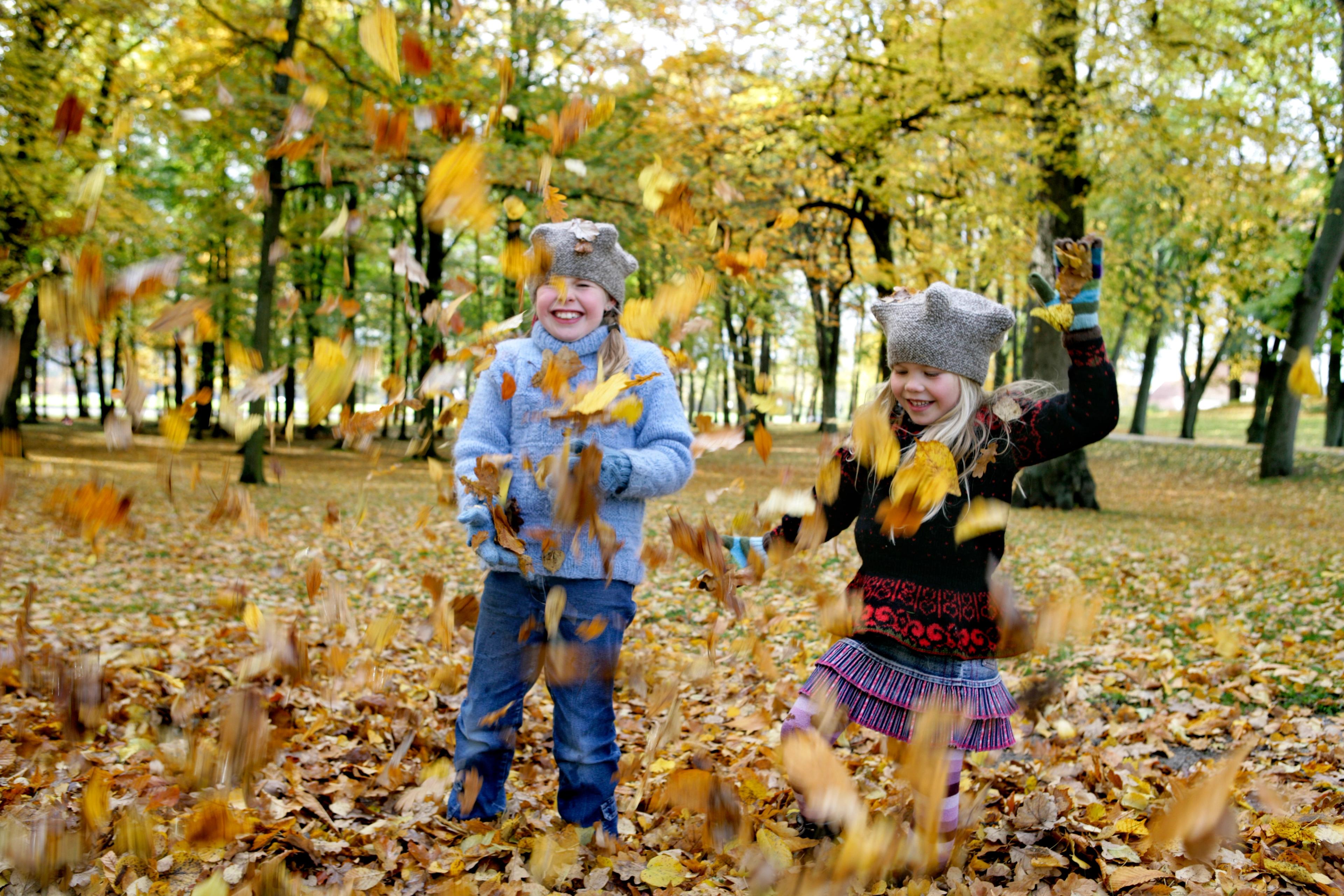 Autumn fun