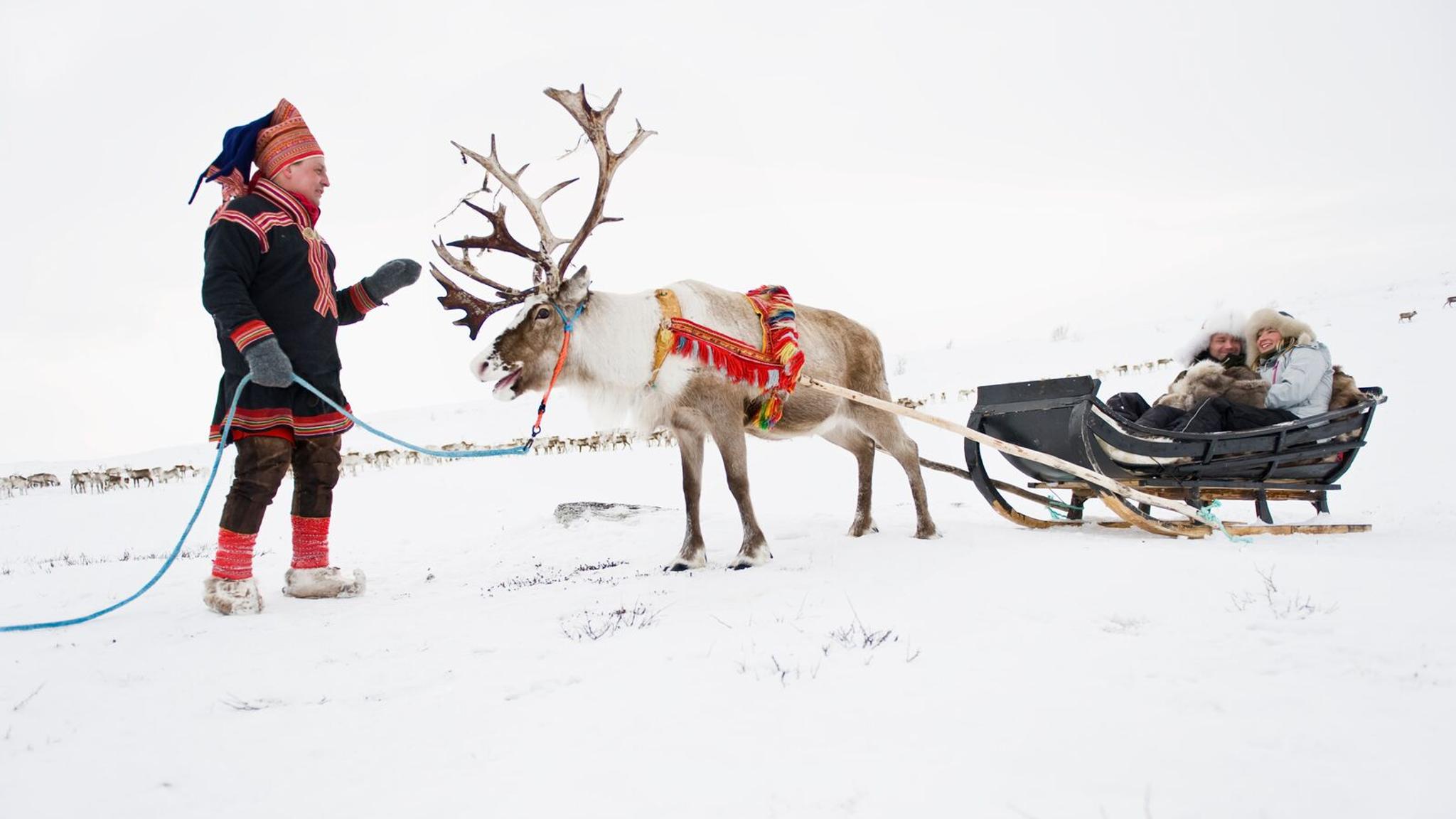 Couple riding a reindeer sled in Finnmark