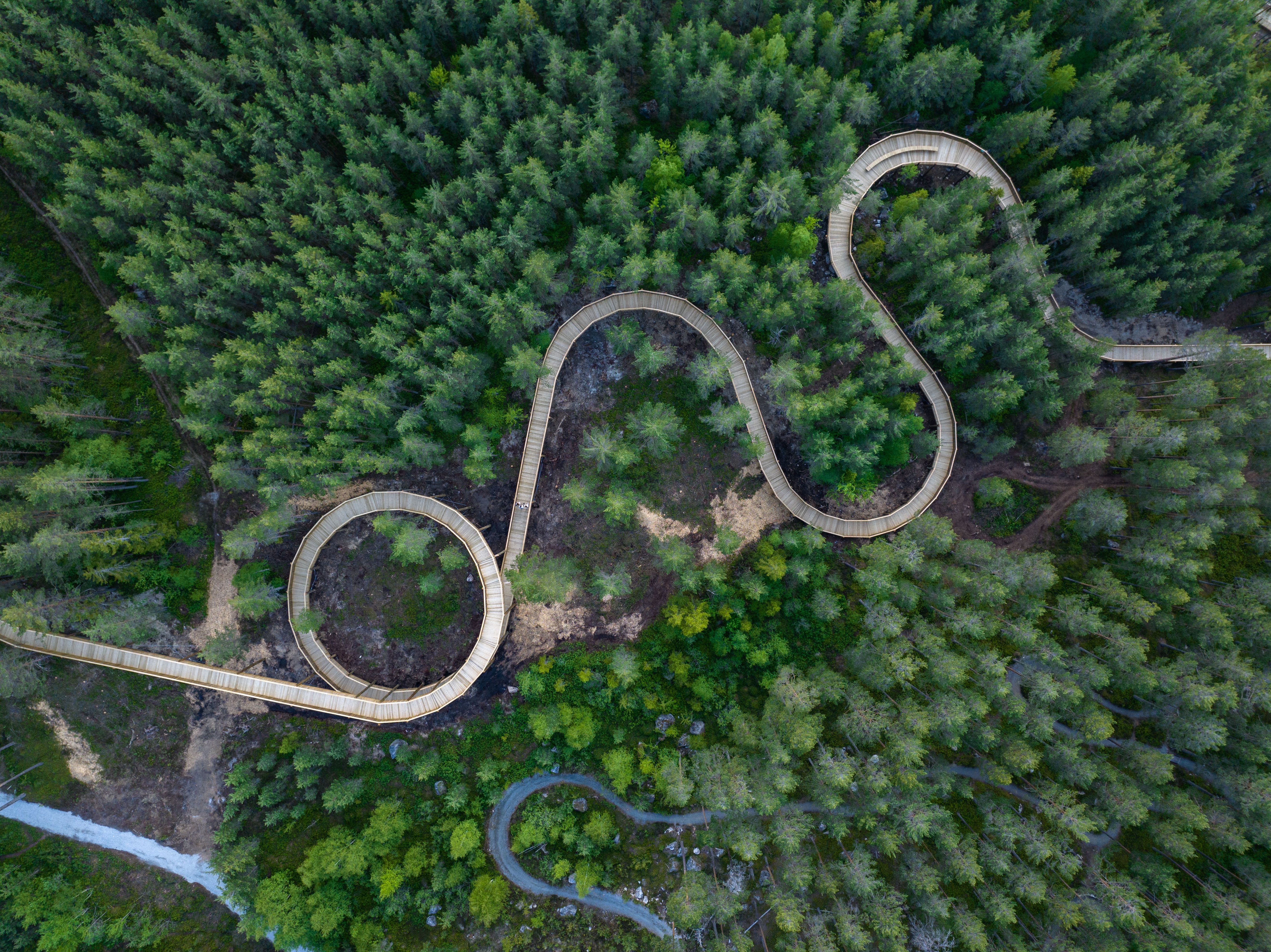 Hamaren activitypark, The treetop road