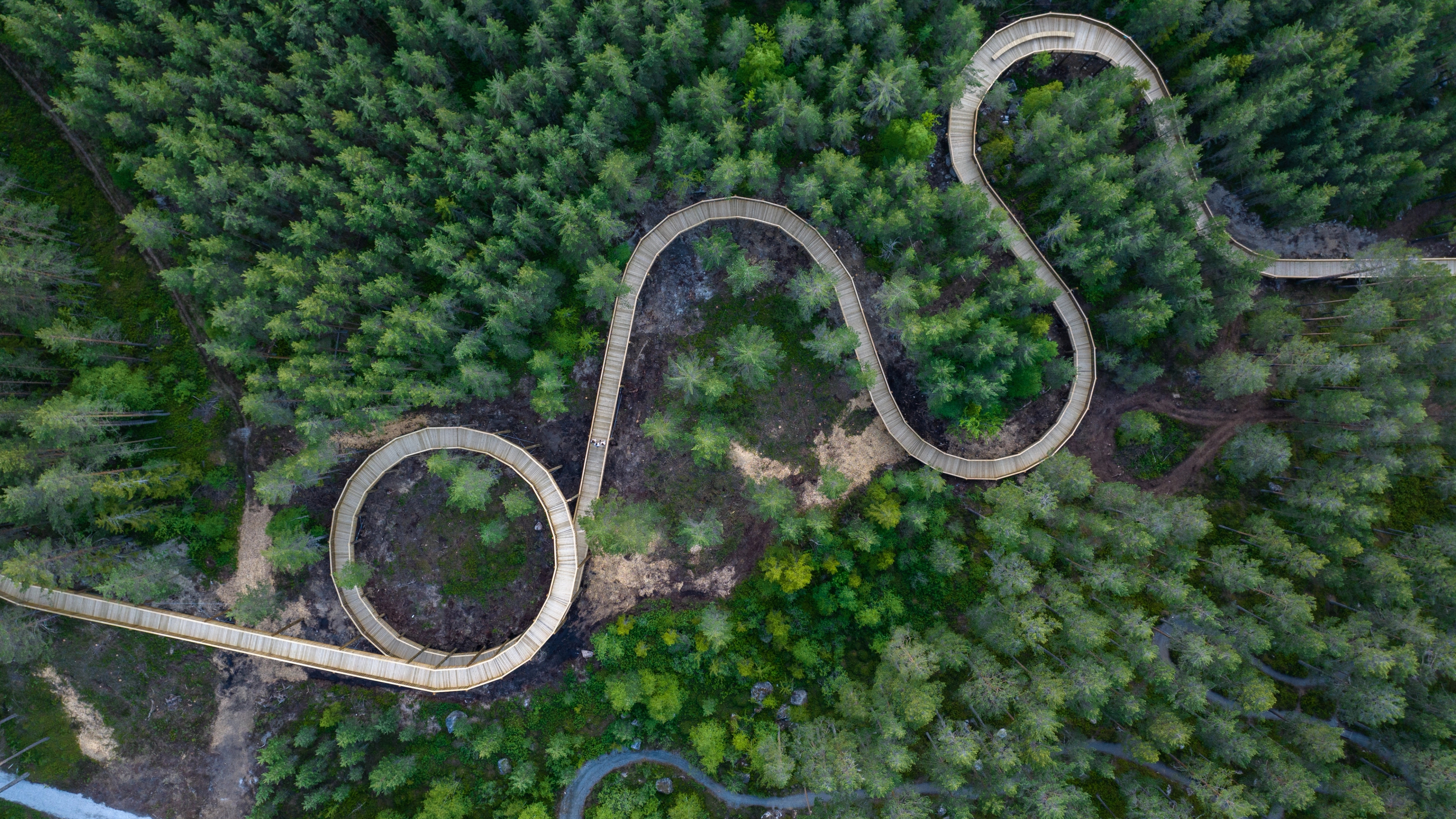 Hamaren activitypark, The treetop road