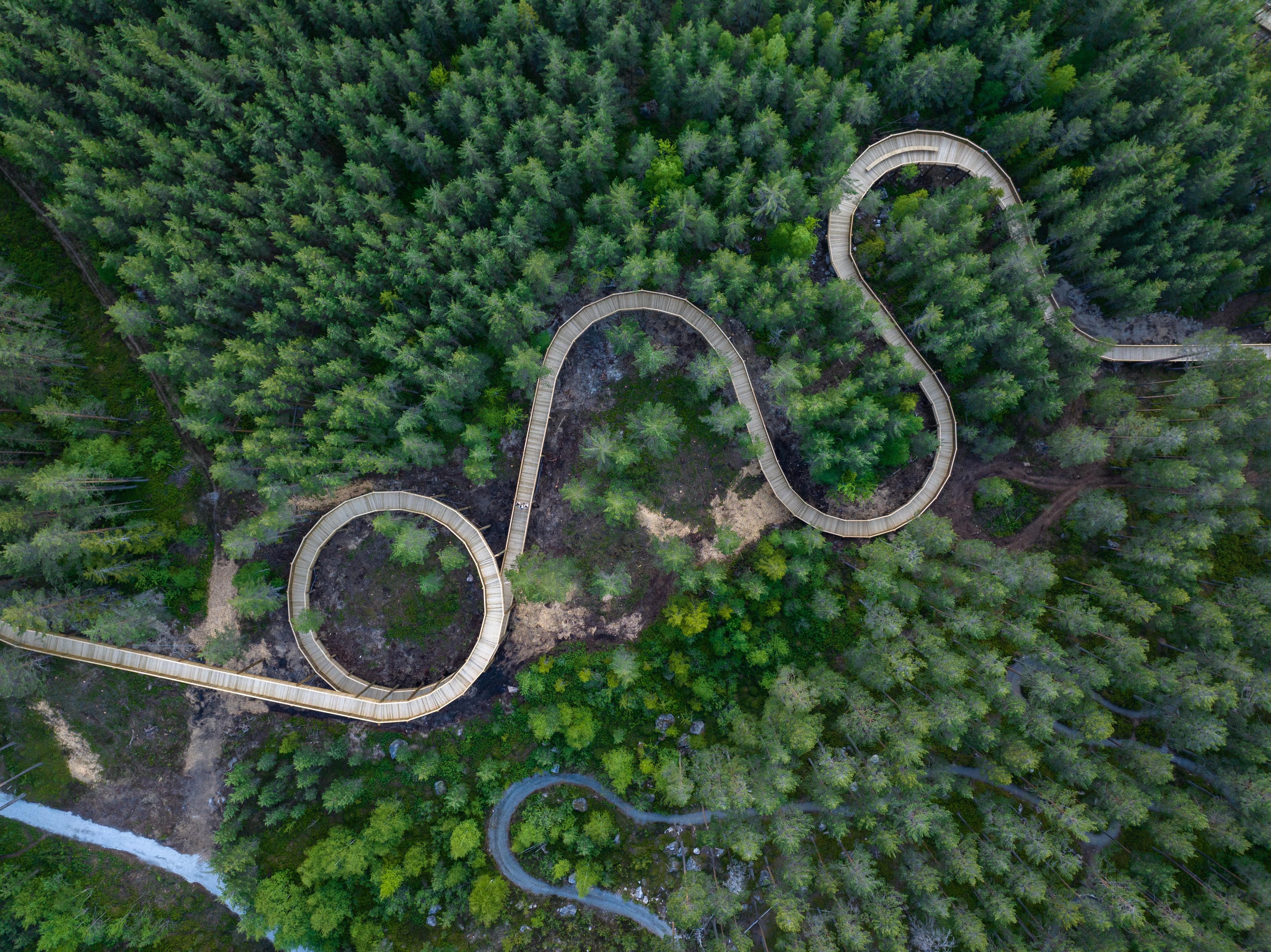 Hamaren activitypark, The treetop road