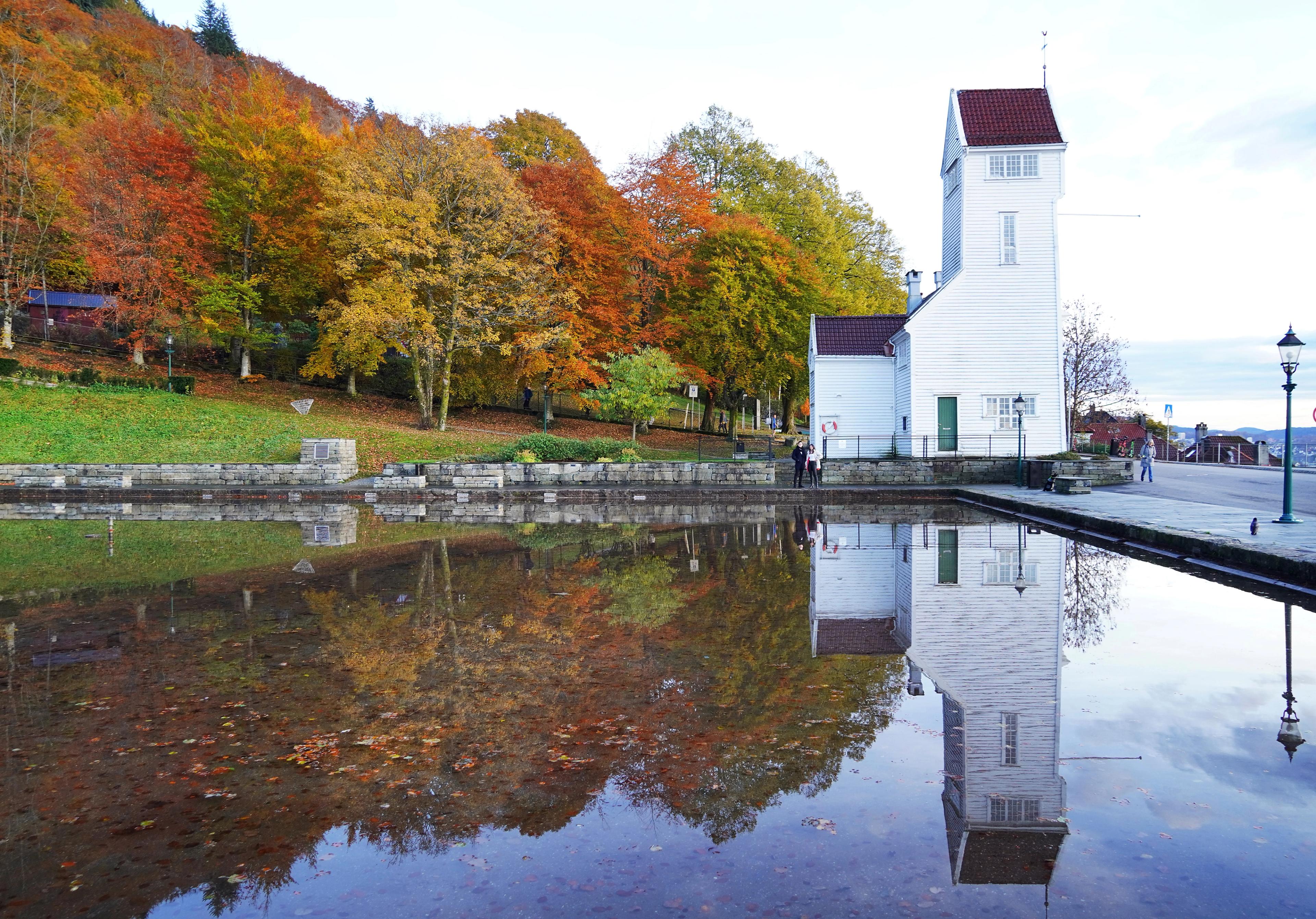 Two people with an umbrella in a autumn forest.