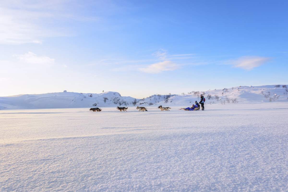 Two people dog sledding in Kirkenes