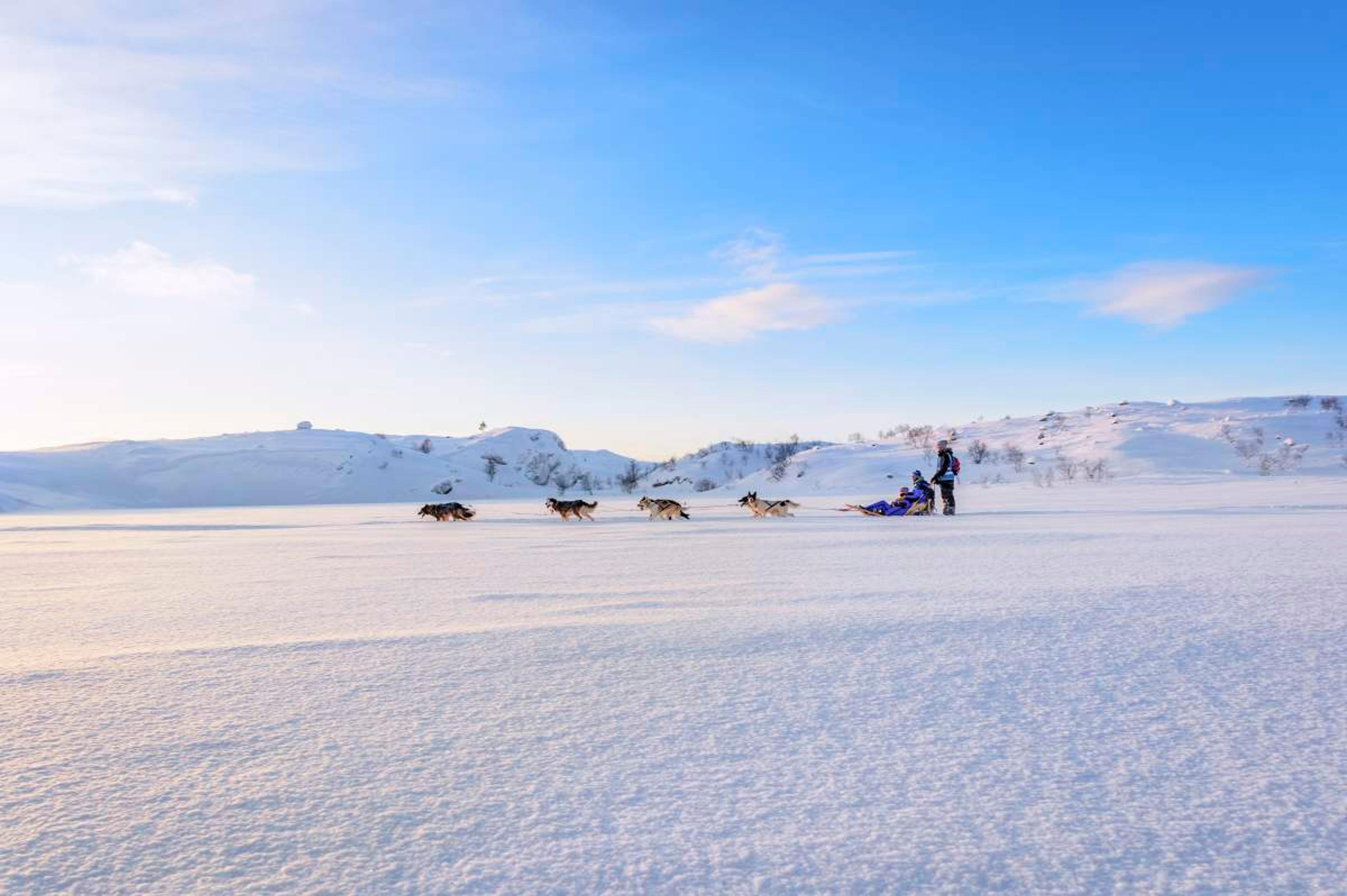 Two people dog sledding in Kirkenes