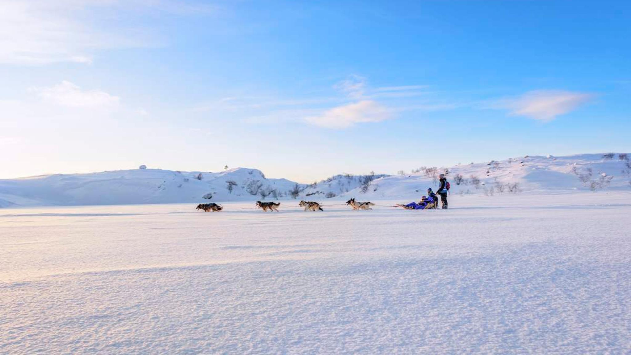Two people dog sledding in Kirkenes