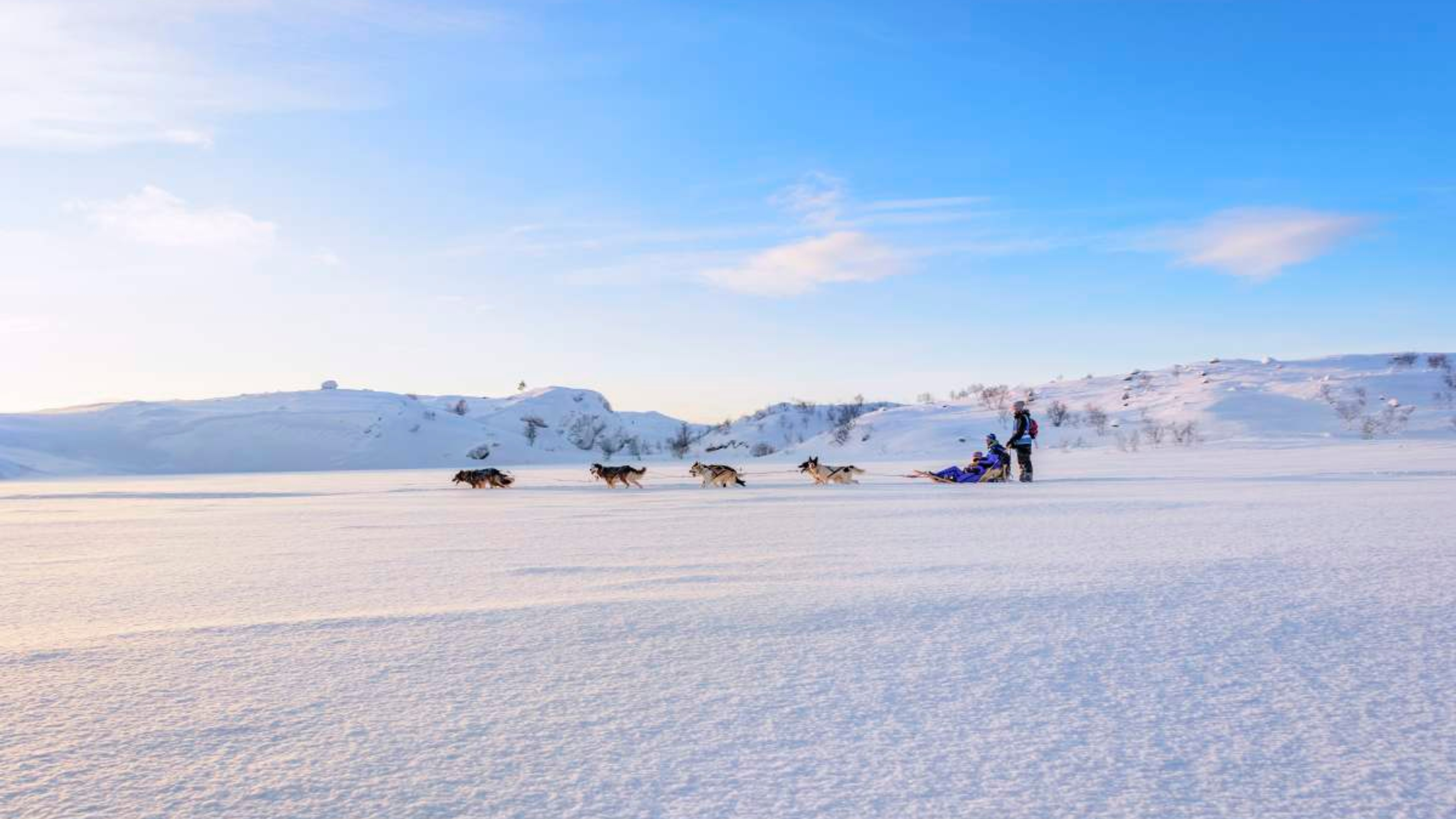Two people dog sledding in Kirkenes