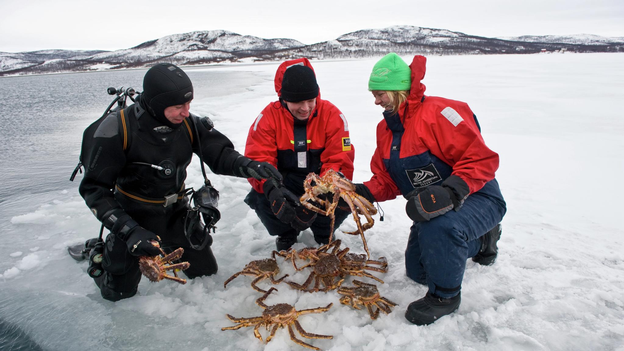 King crab fishing on the ice in Kirkenes