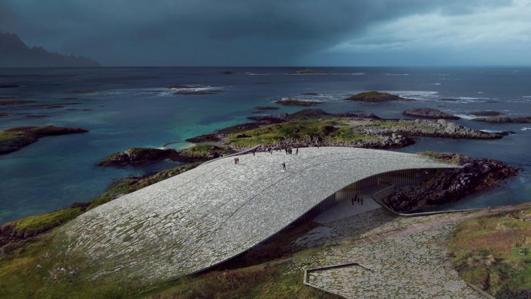Vesterålen | Whale and wow experiences