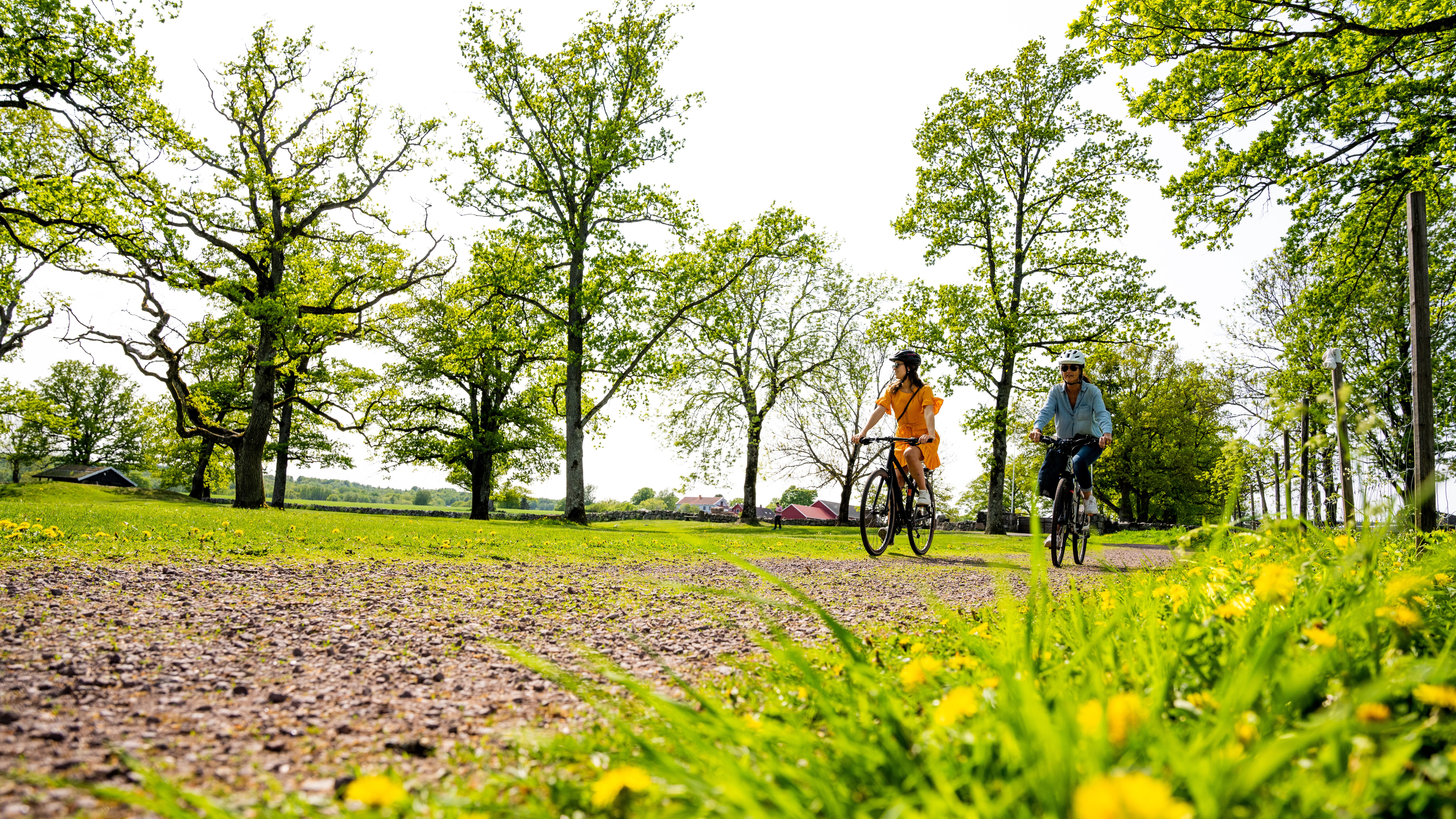 Two women biking in Borre, Vestfold