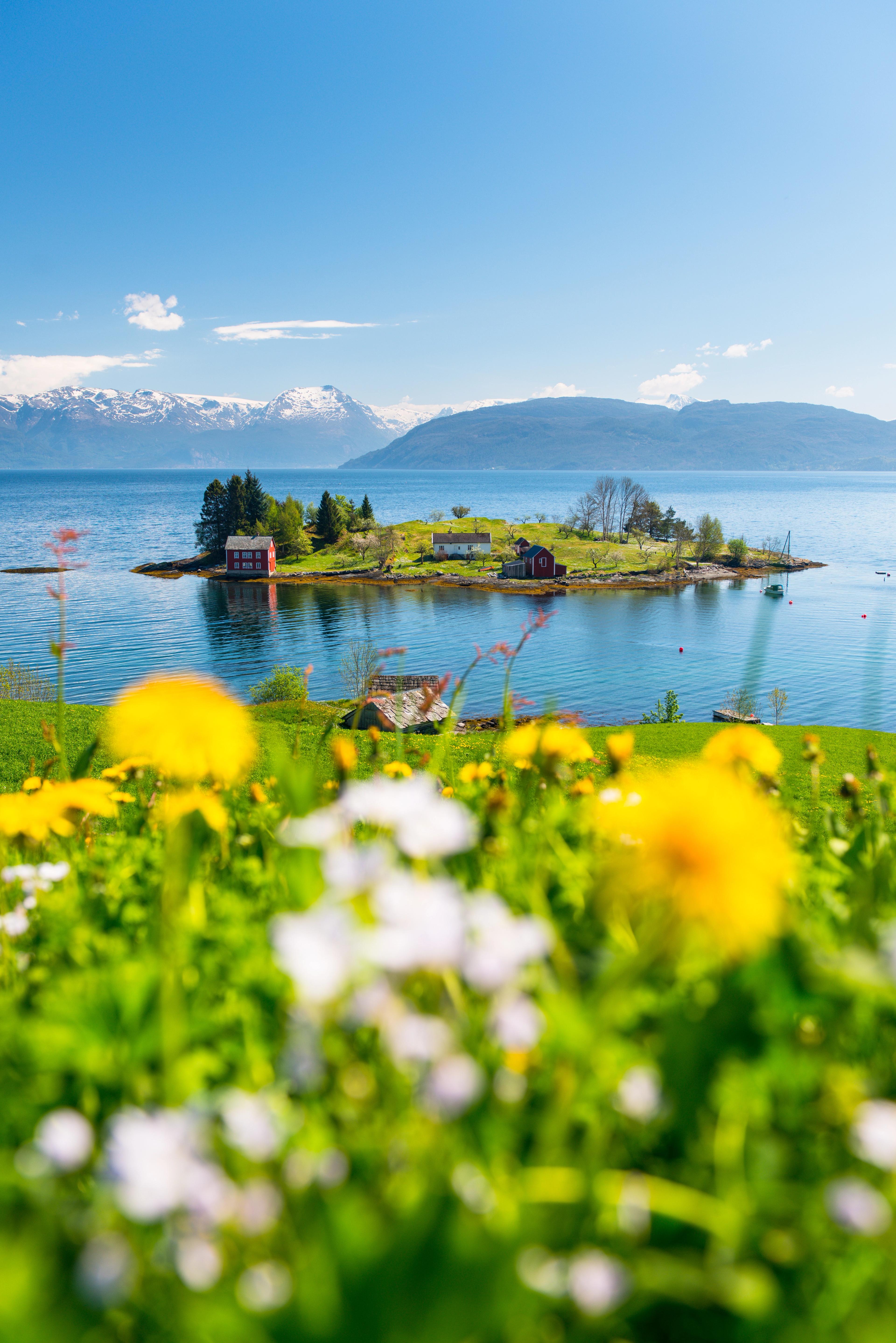 The beautiful Omaholmen island in the Hardangerfjord region, with blooming flowers and a sunny clear blue sky. Fjord Norway.