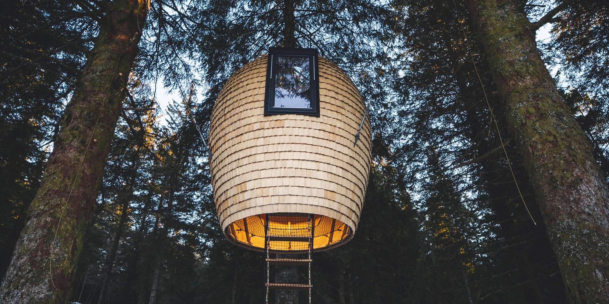 The Cone treetop cabin