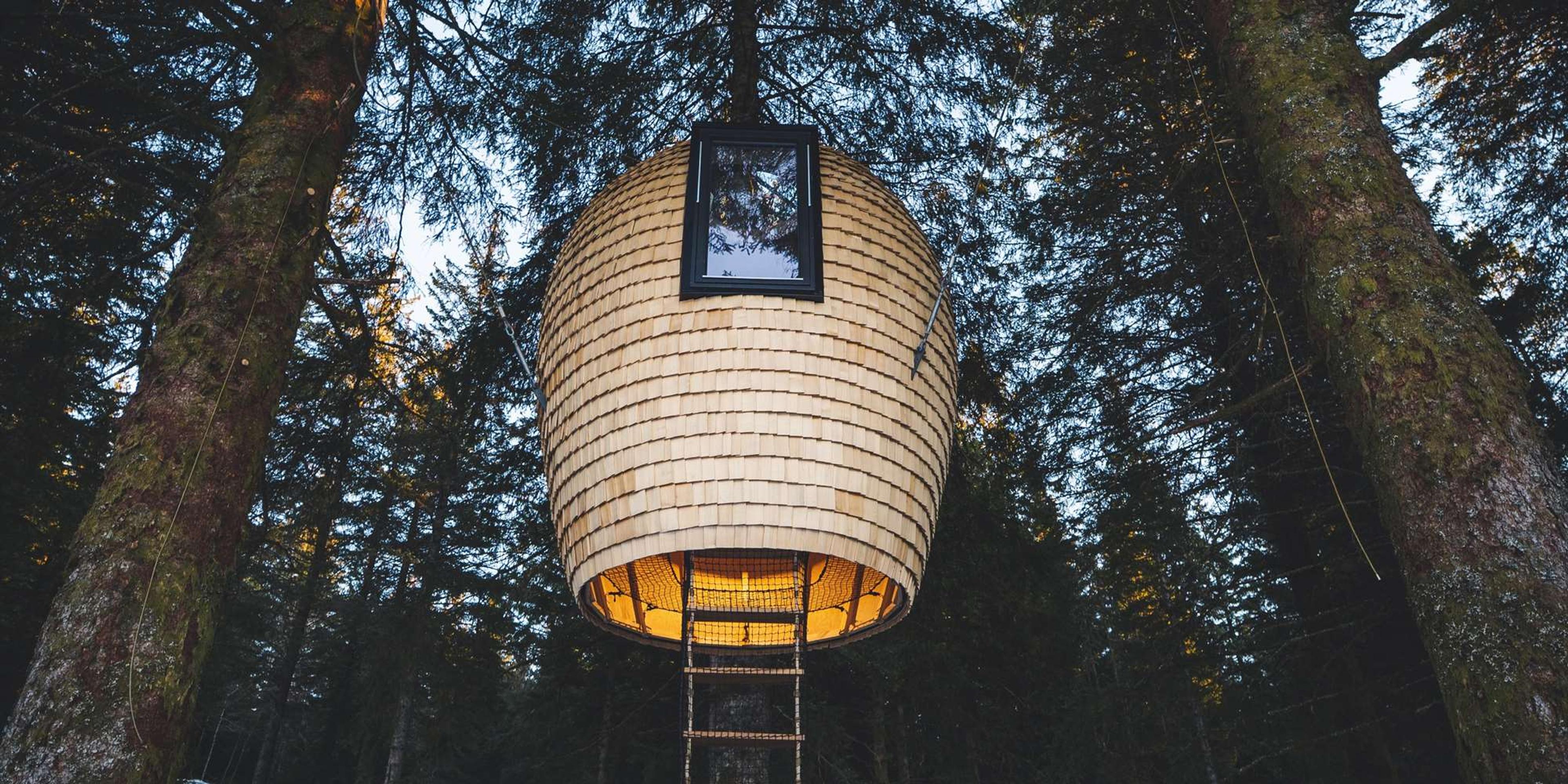 The Cone treetop cabin