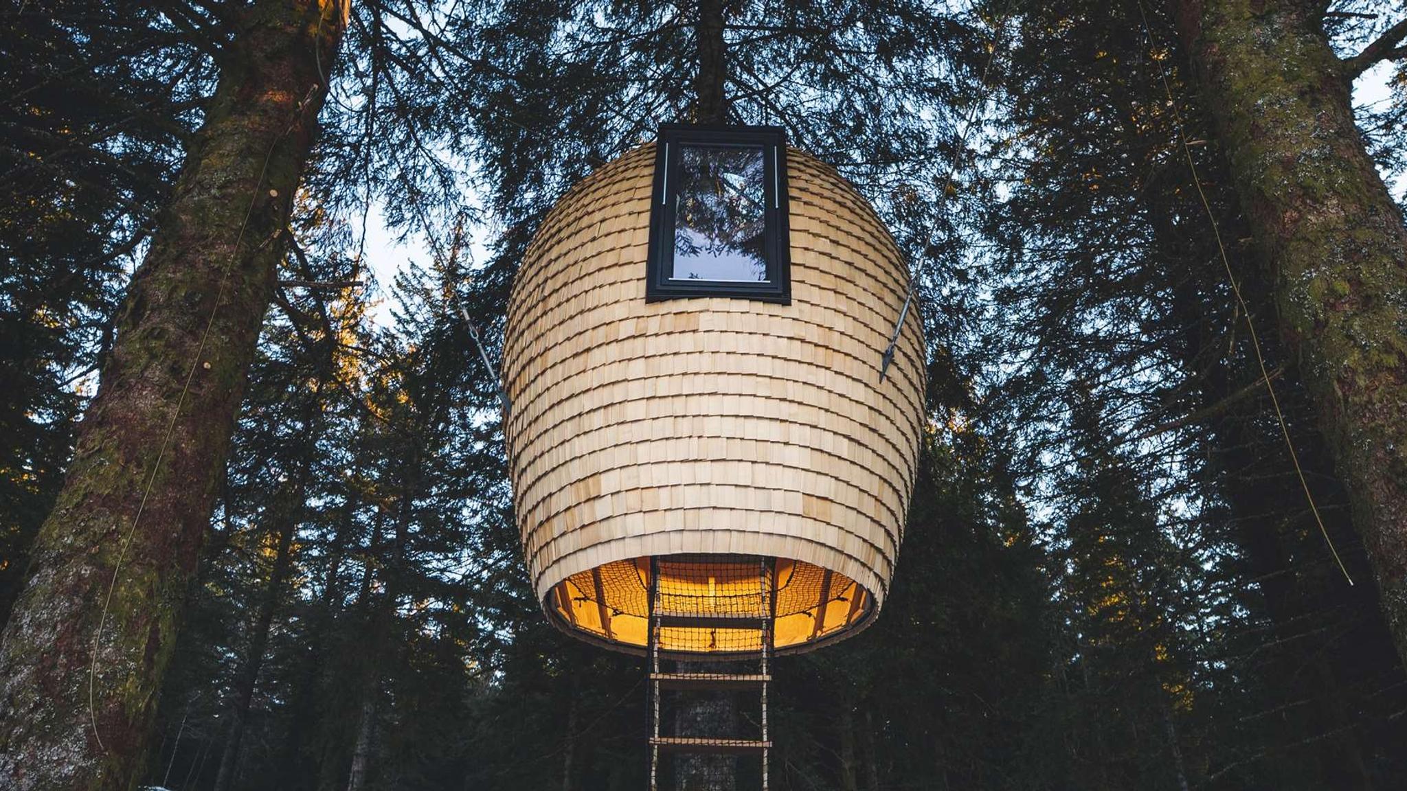 The Cone treetop cabin