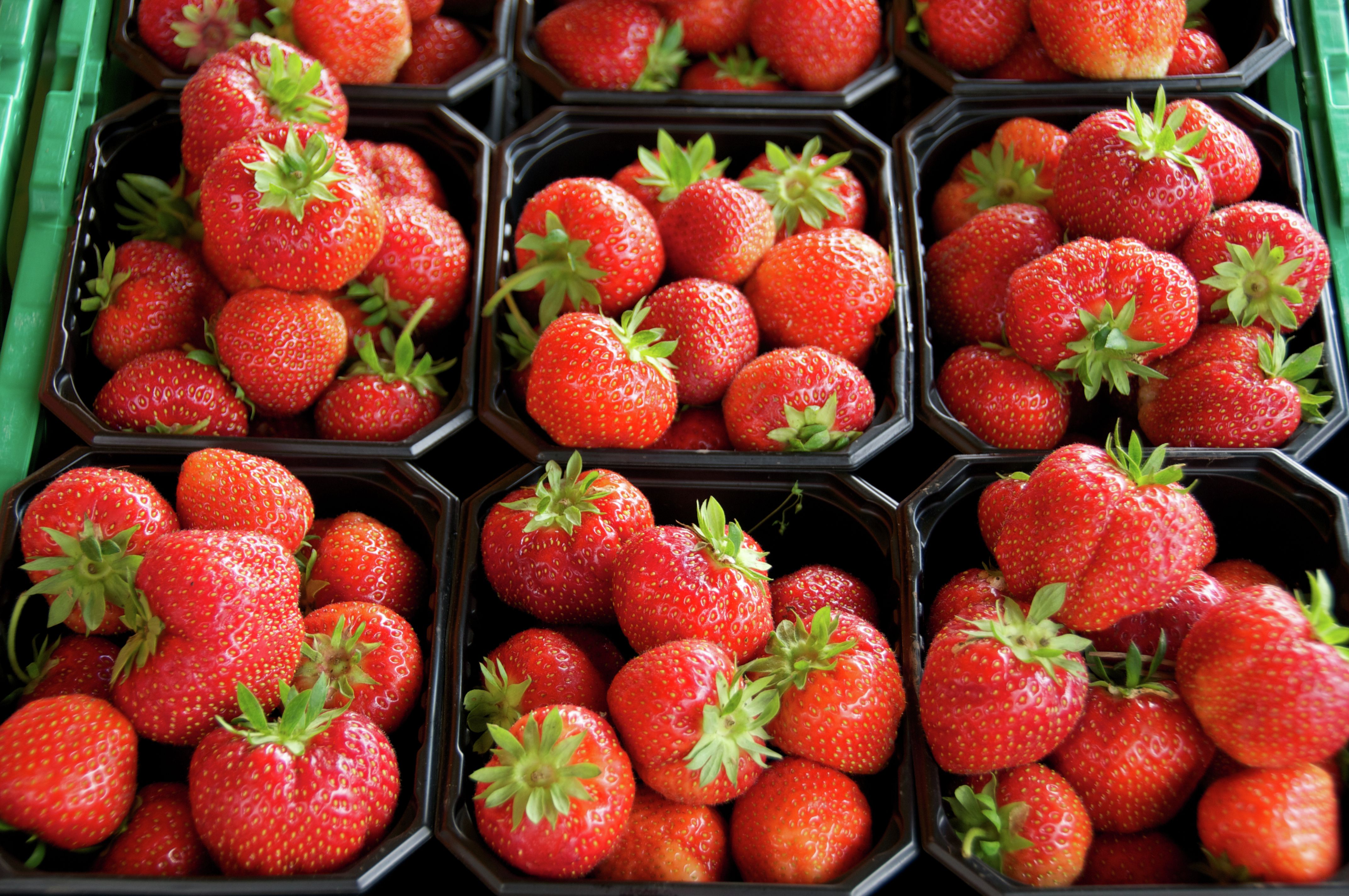 Norwegian strawberries for sale at Fisketorvet, Bergen
