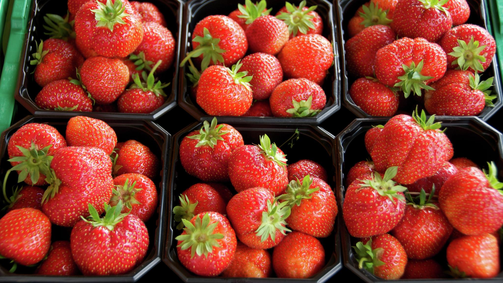 Norwegian strawberries for sale at Fisketorvet, Bergen