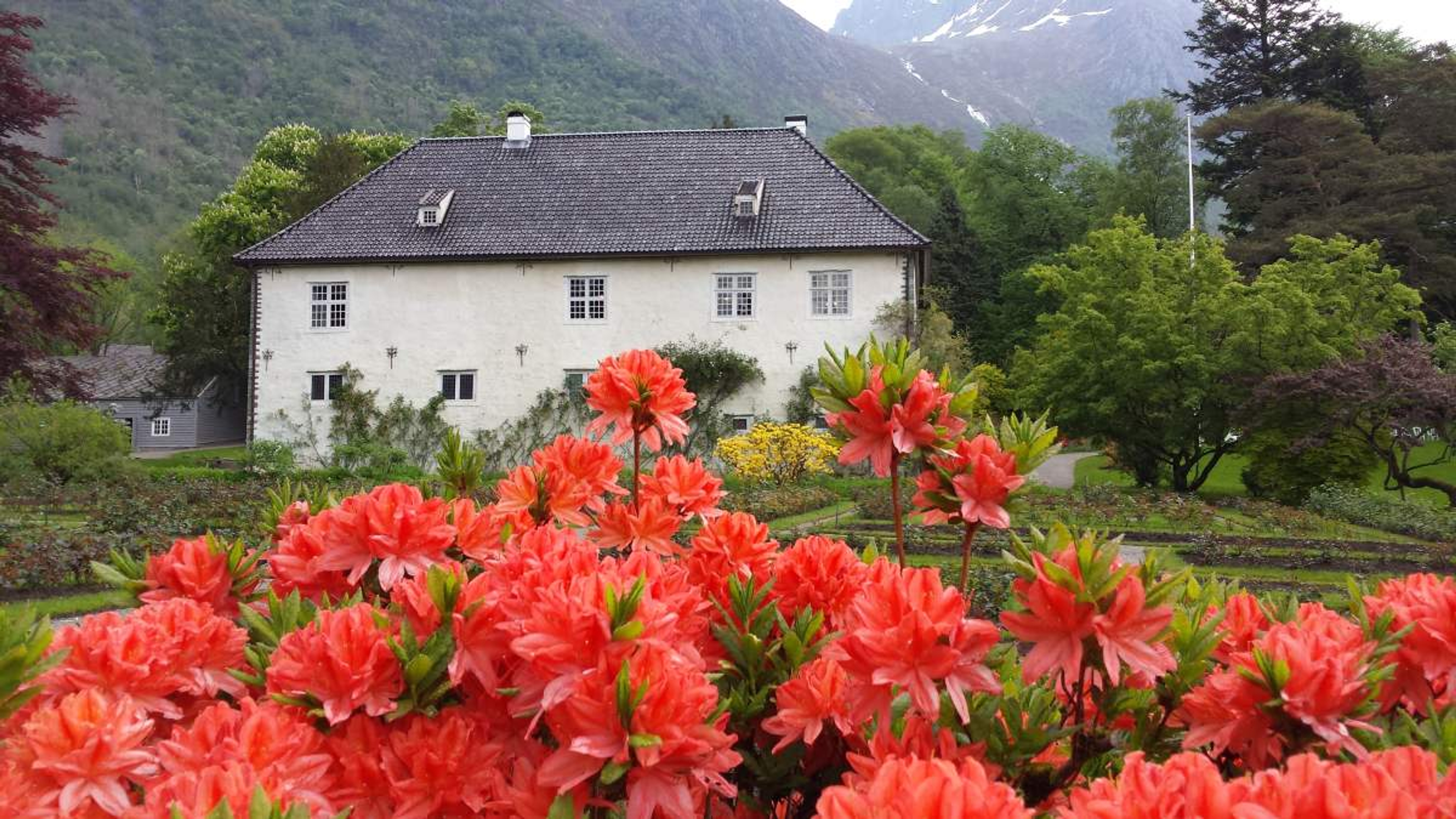 Flowers in full bloom at Baroniet Rosendal in Hardanger, Fjord Norway