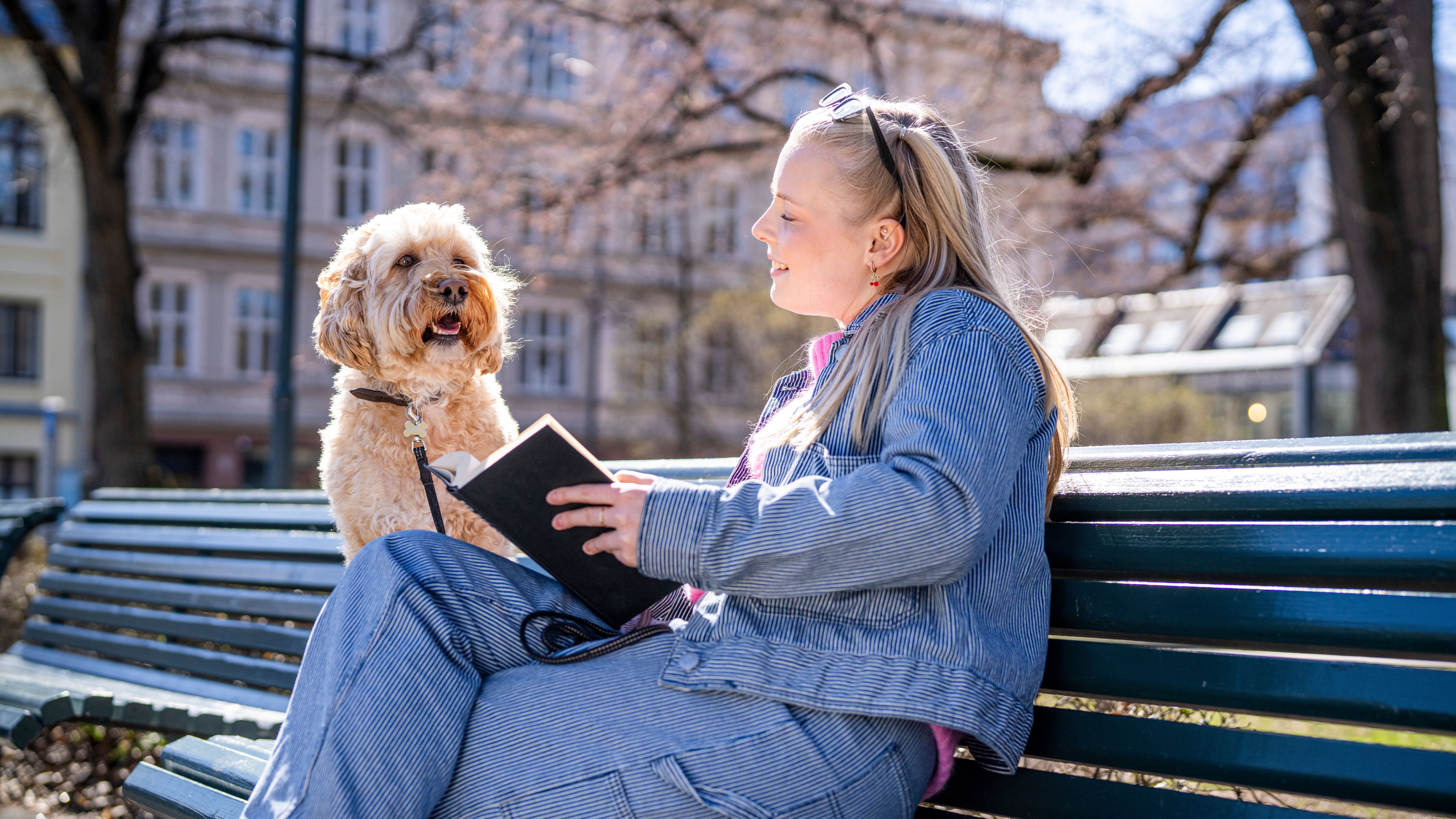 Dog and woman on a bench in the park in Grünerløkka, Oslo