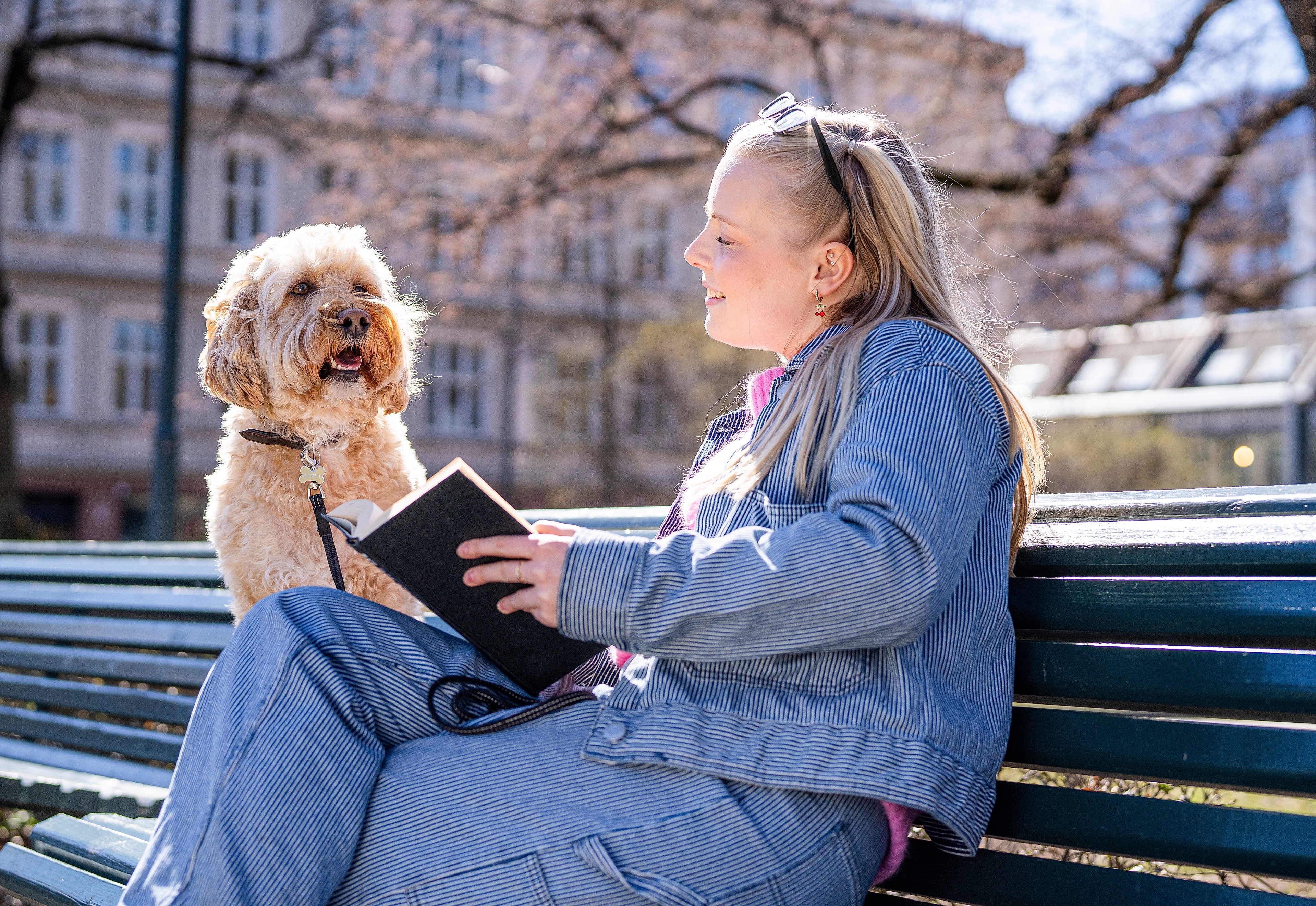 Dog and woman on a bench in the park in Grünerløkka, Oslo