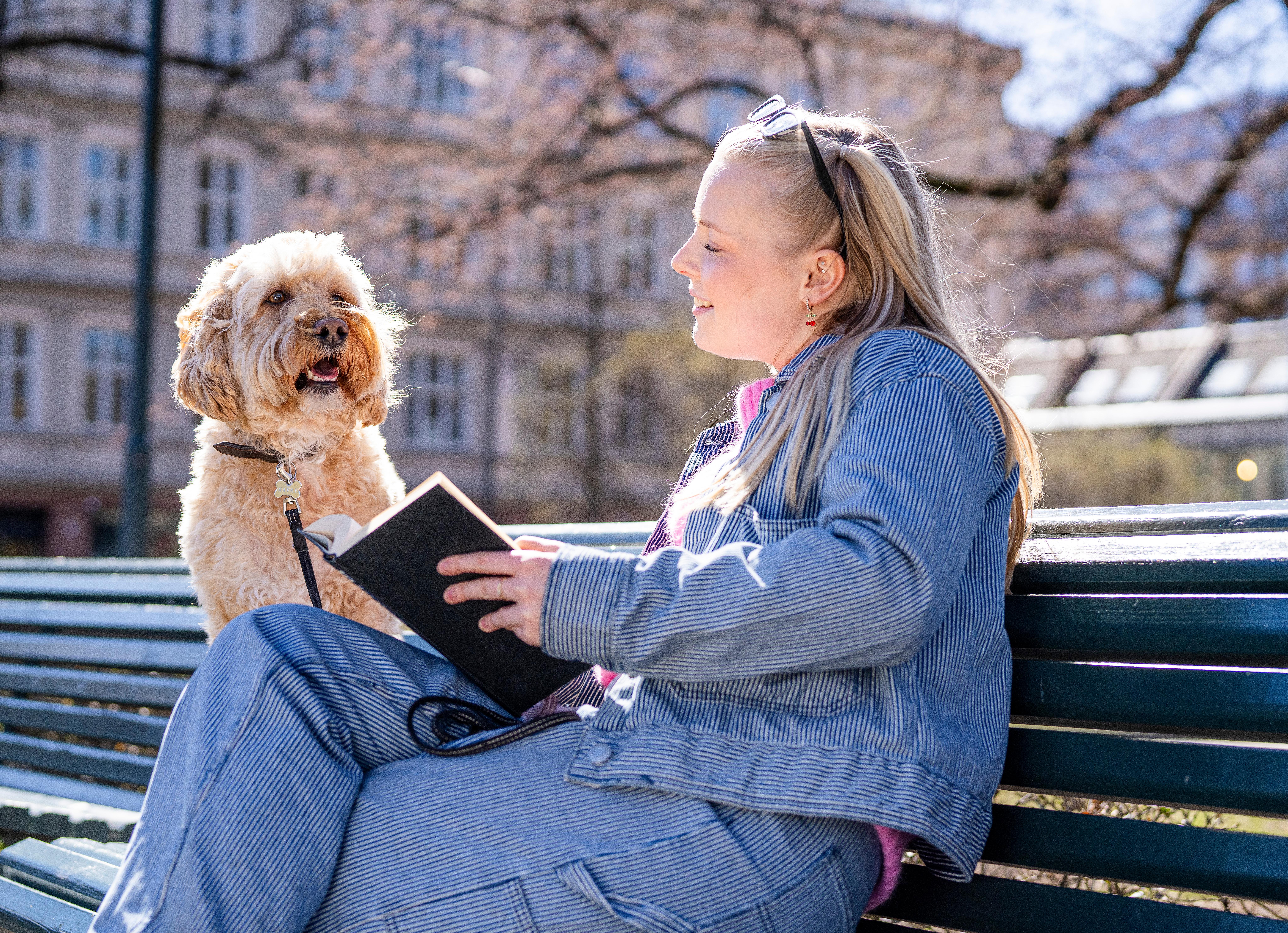 Dog and woman on a bench in the park in Grünerløkka, Oslo