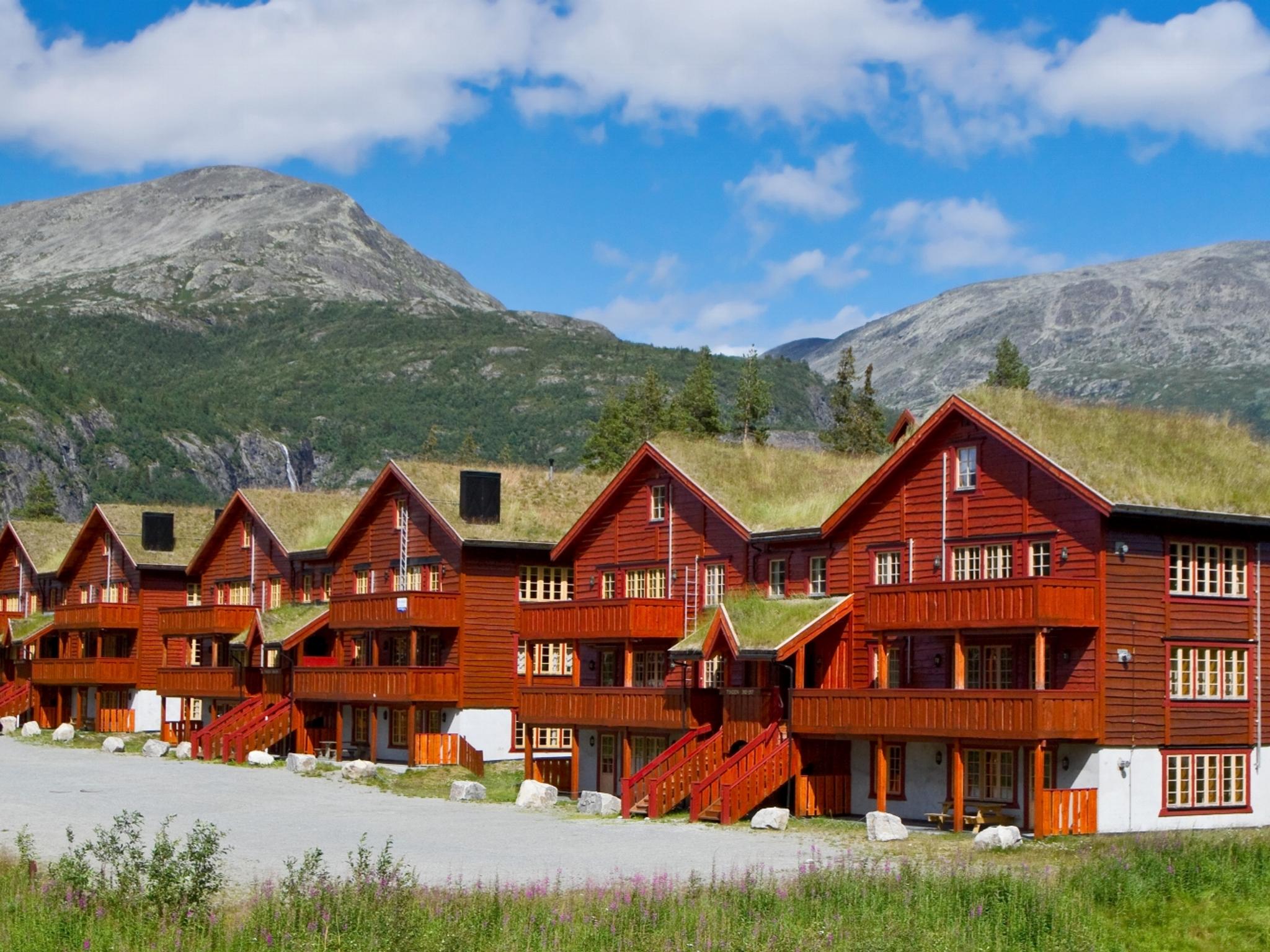 Små hus med leiligheter i Hemsedals fjellandskap