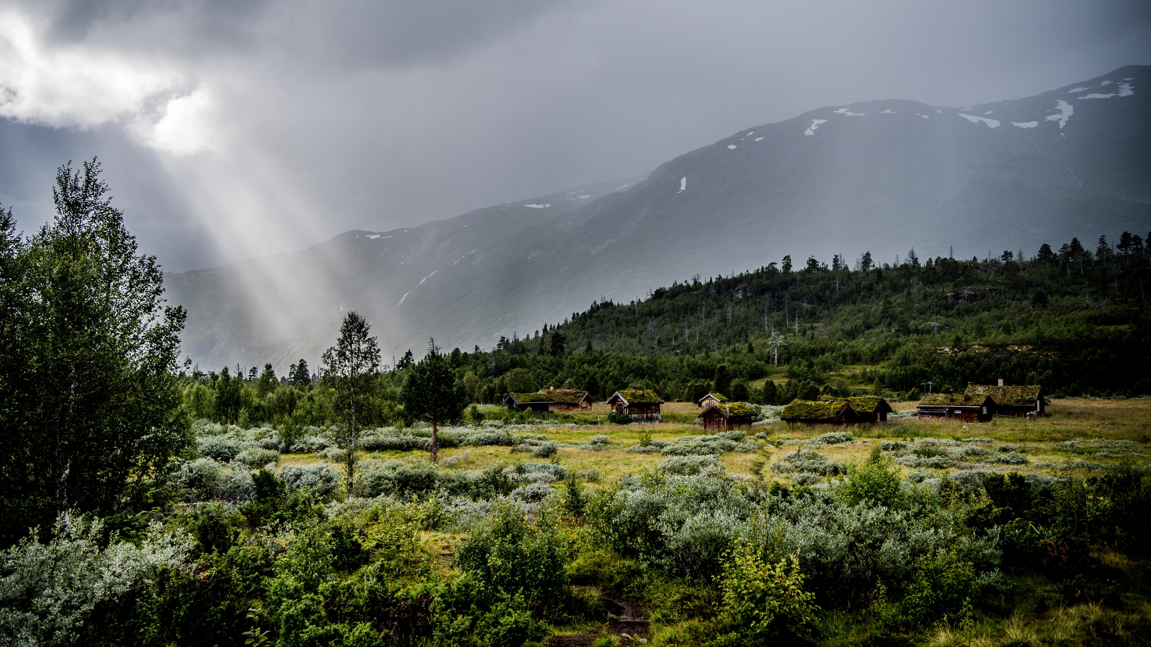 Thatched houses in a forested and mountainous landscape in Vettismorki on a foggy autumn day. Jotunheimen, Norway.
