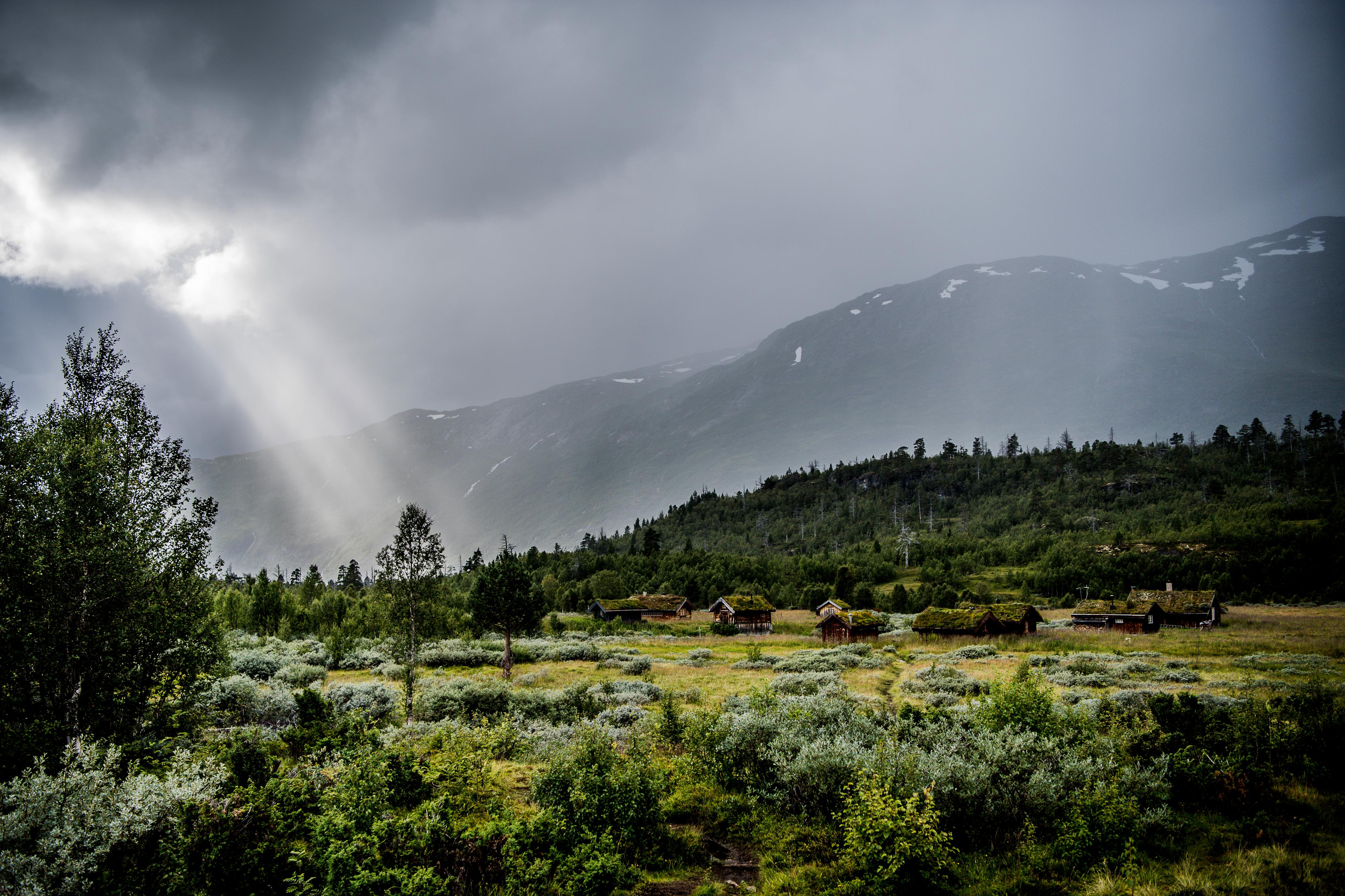 Thatched houses in a forested and mountainous landscape in Vettismorki on a foggy autumn day. Jotunheimen, Norway.