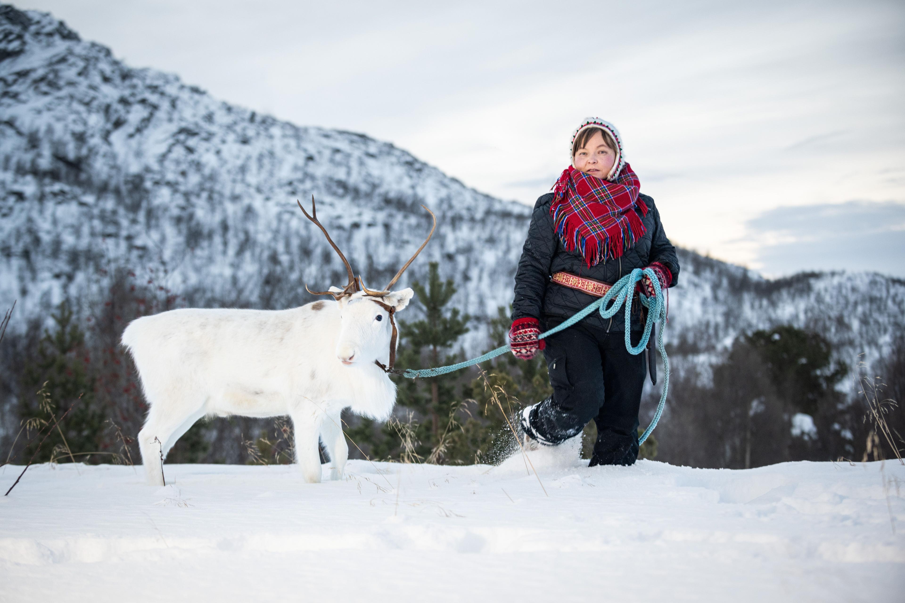 Máret Rávdná Buljo with a white reindeer walking through snow