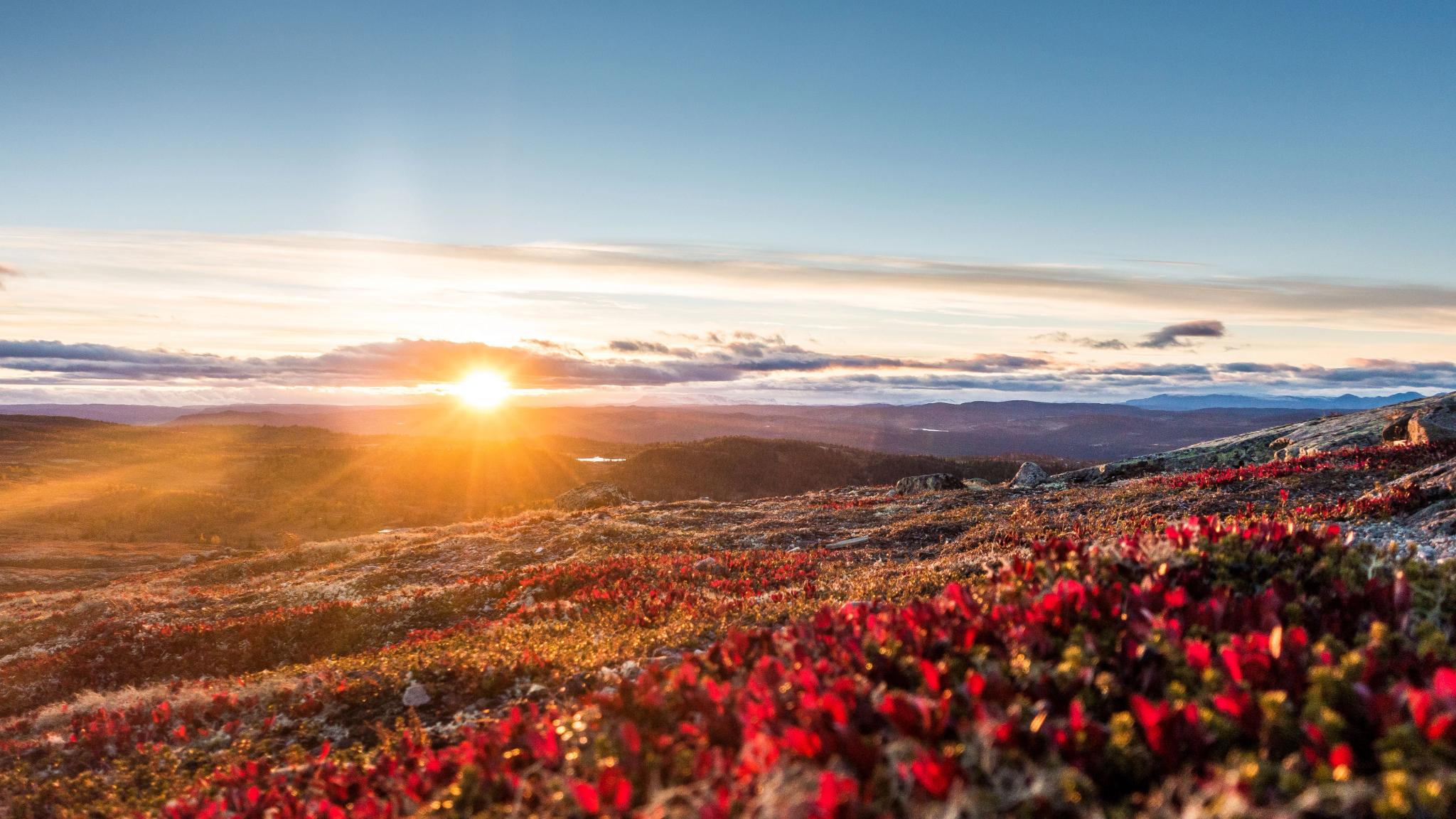The sun setting on the horizon at Nesfjellet