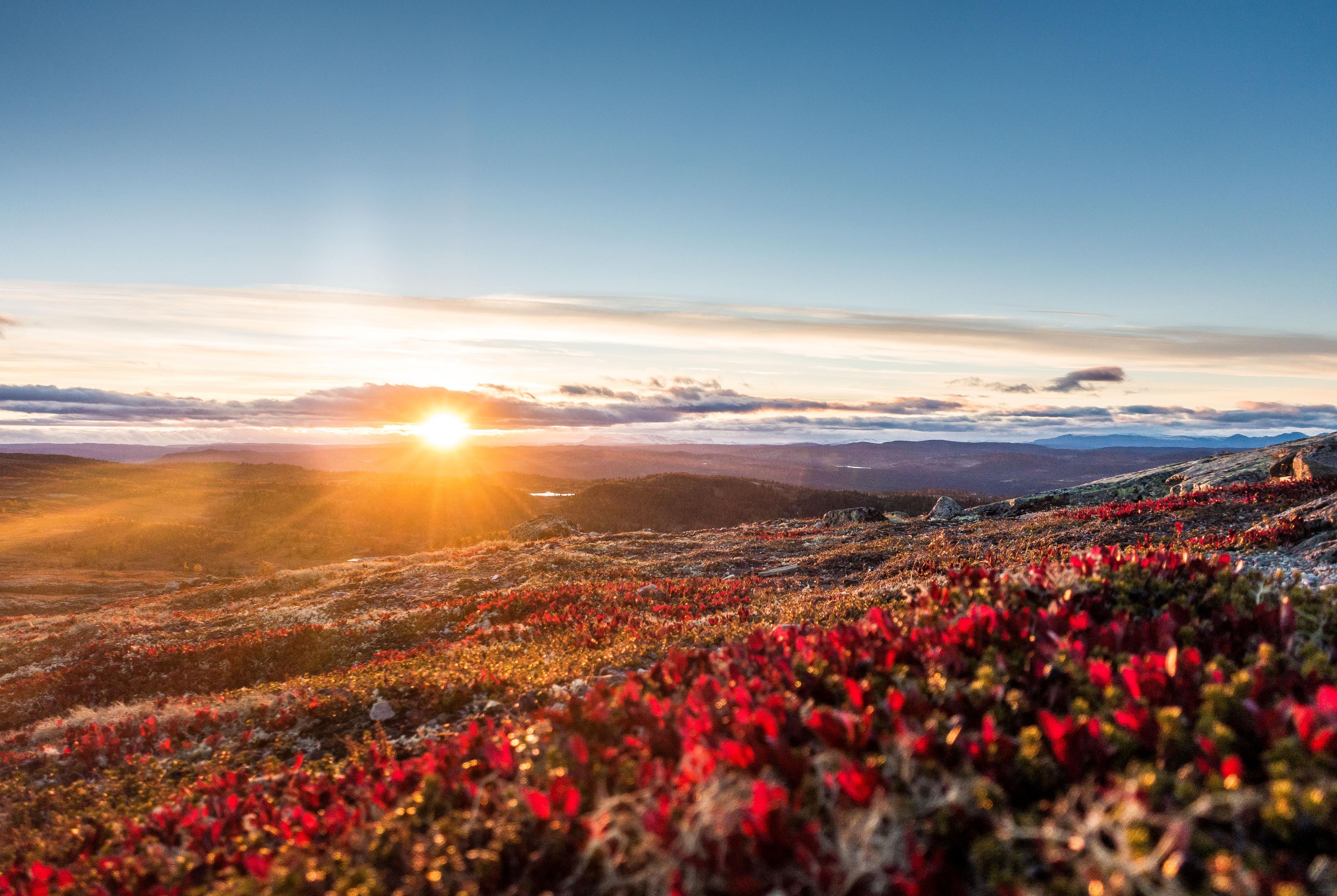 The sun setting on the horizon at Nesfjellet