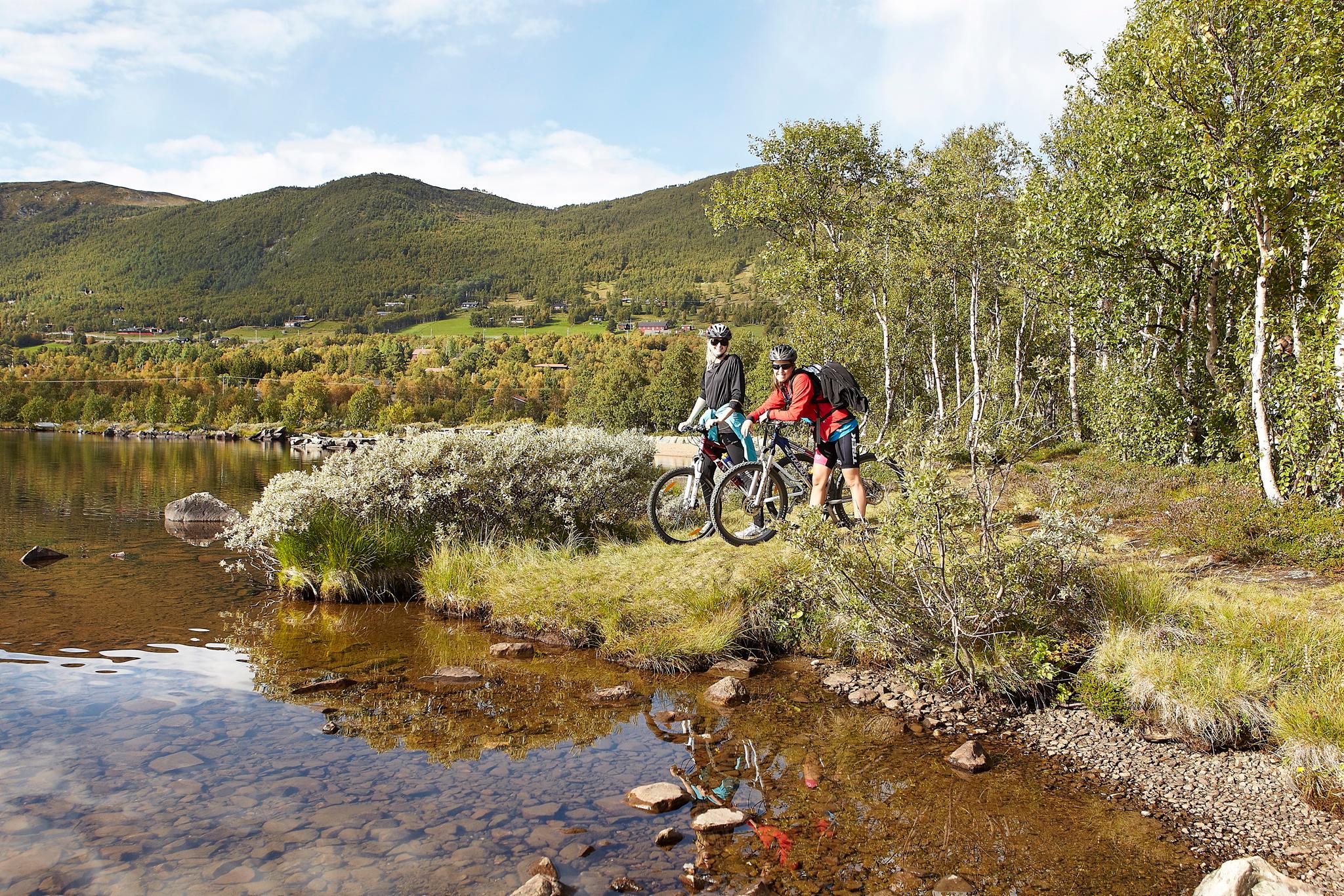 Et par på cykel ved Ustedalsfjorden i Geilo, Norge