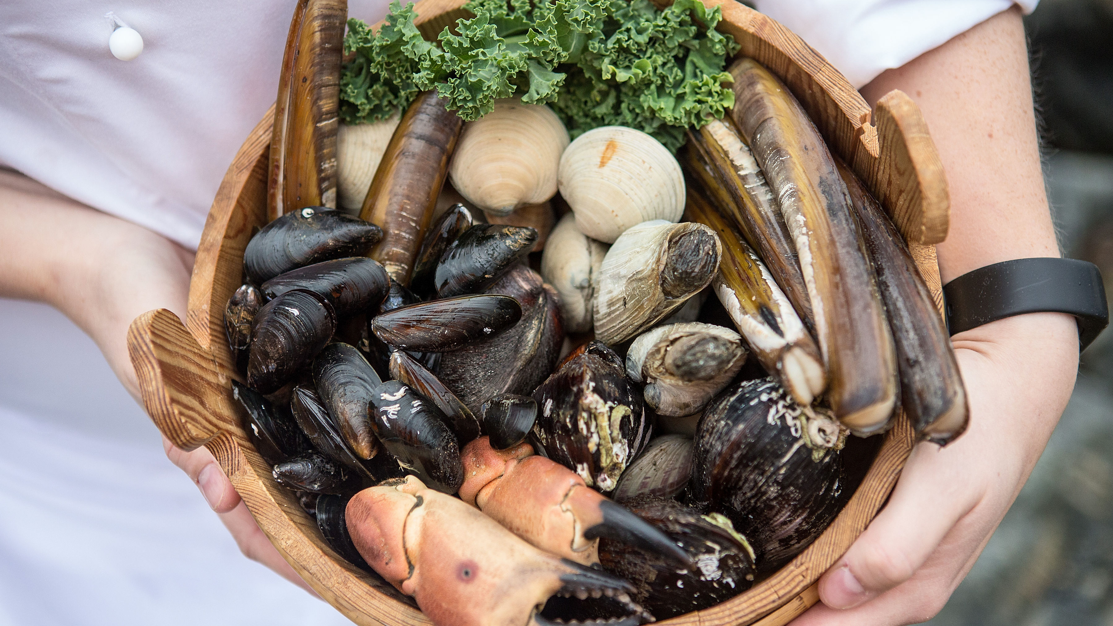 A person holding crab, shells and mussels in a pot