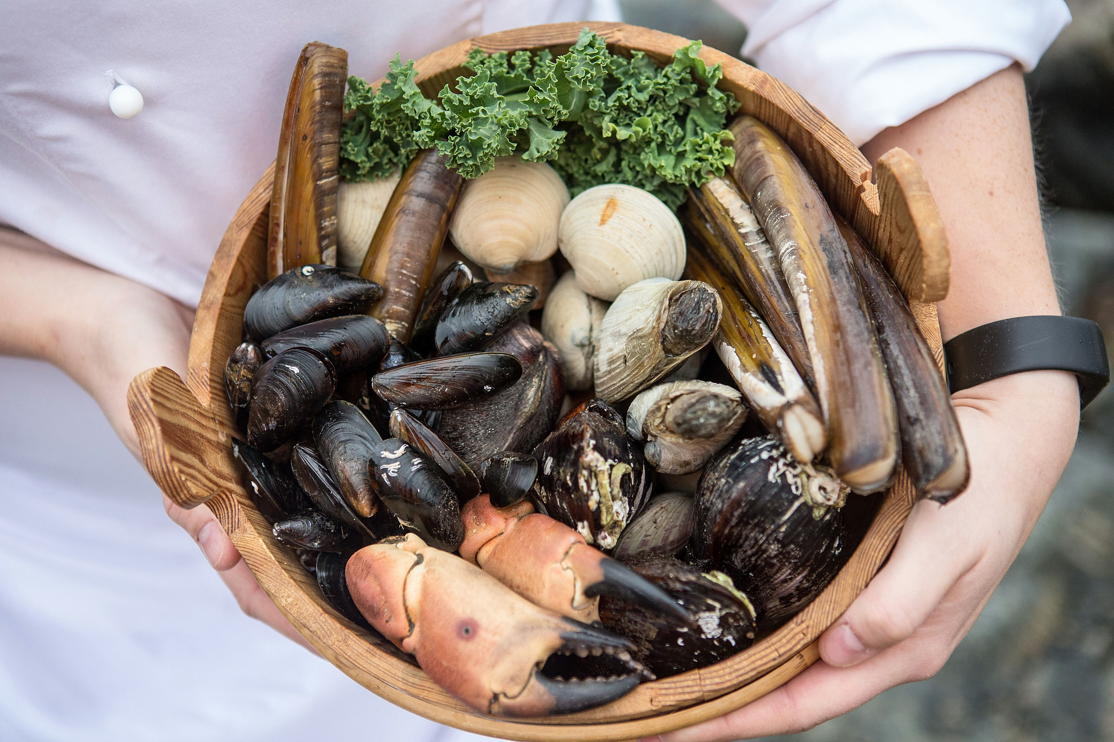 A person holding crab, shells and mussels in a pot