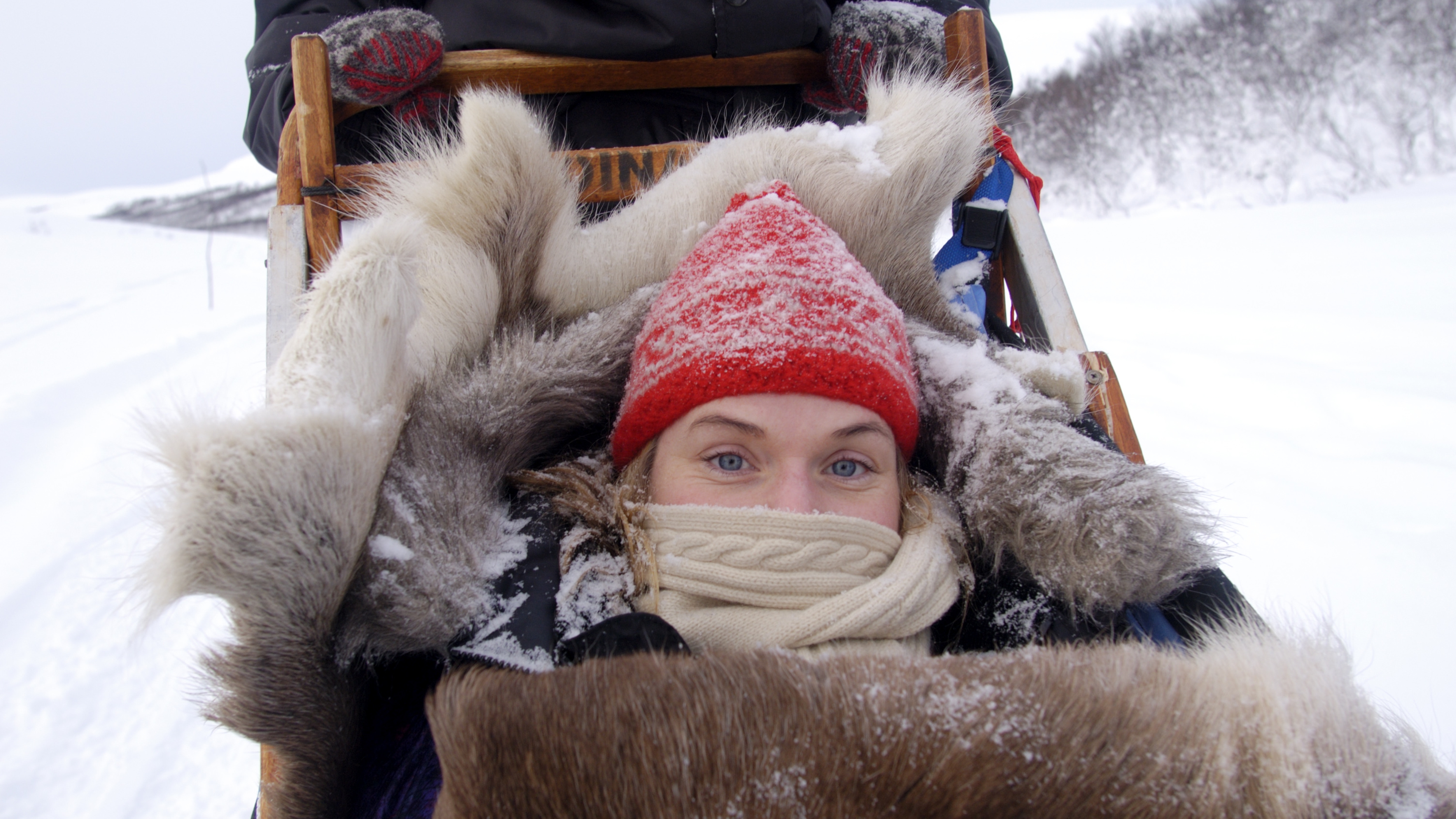 A girl snuggling up in a dog sled in Northern Norway