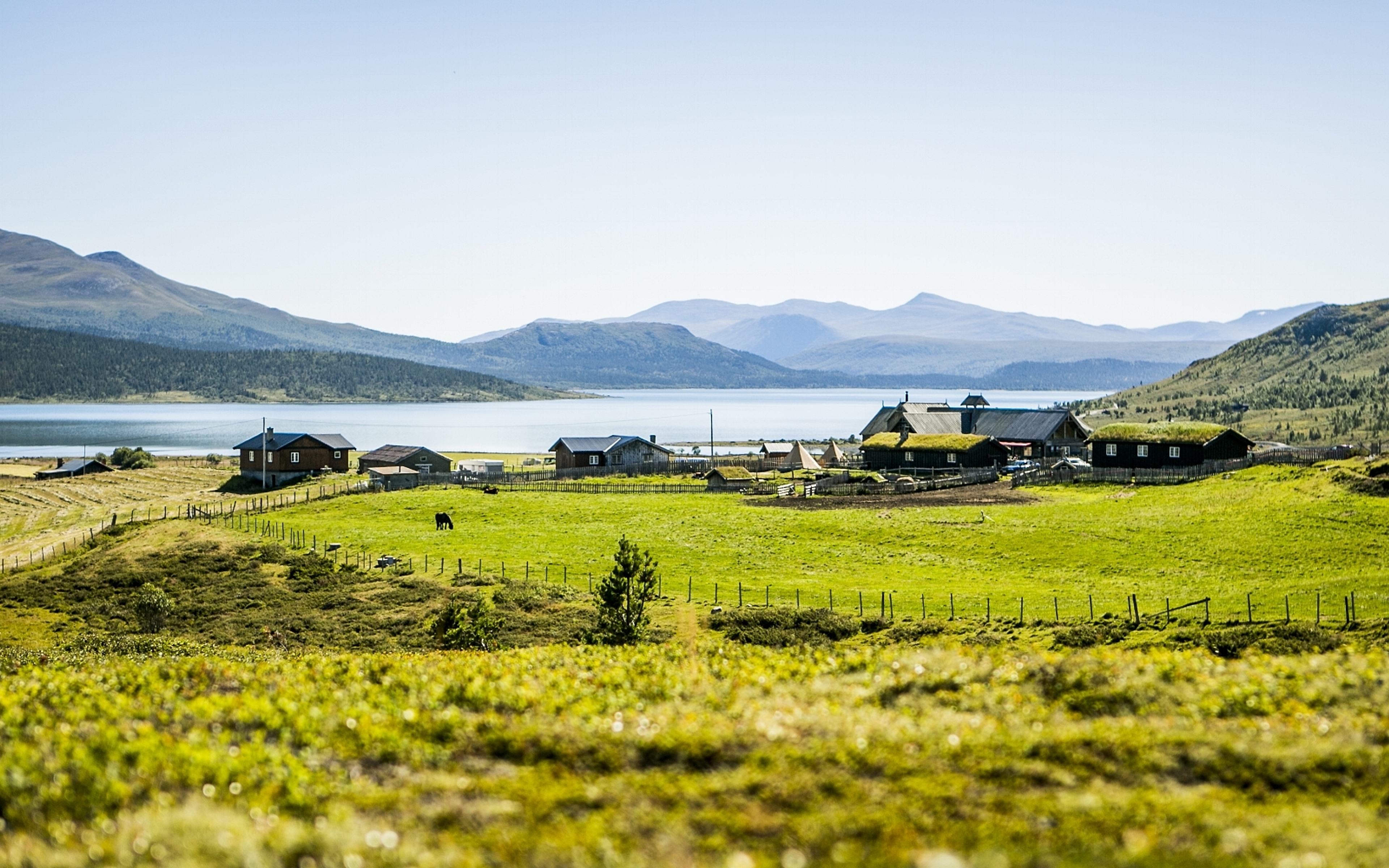 Brimi Sæter, mountain summer farm, Lom.