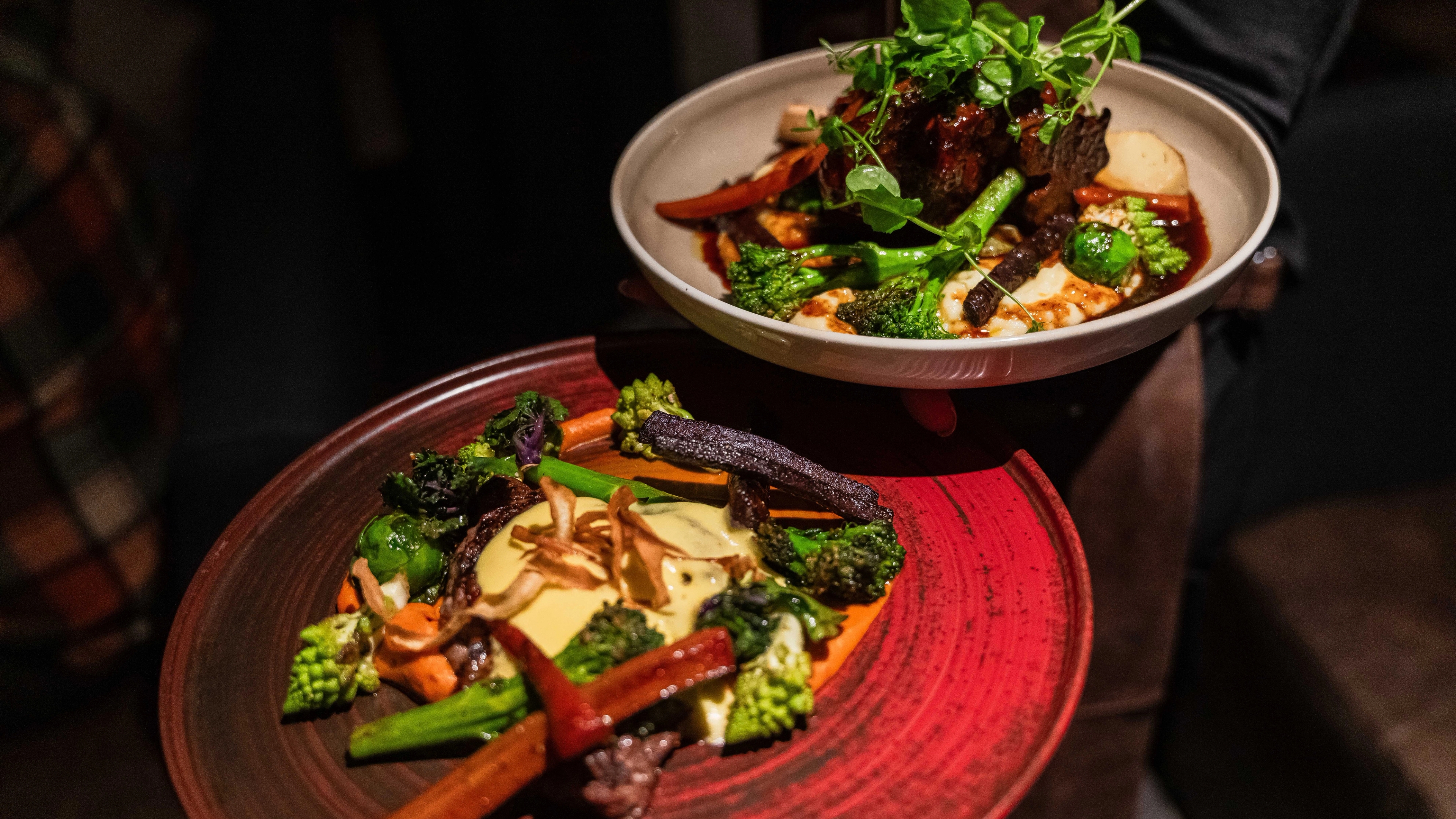 Two plates with meat, potatoes and vegetables.