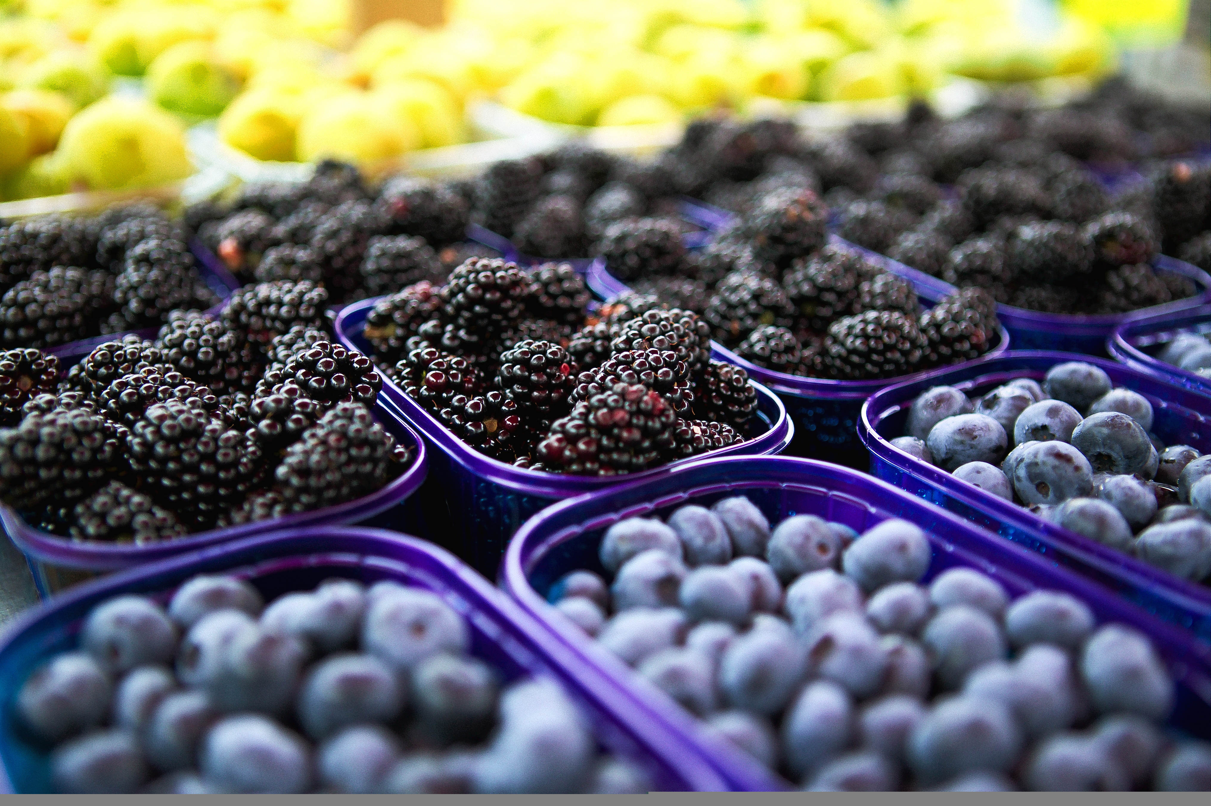 Punnets of blackberries and blue berries