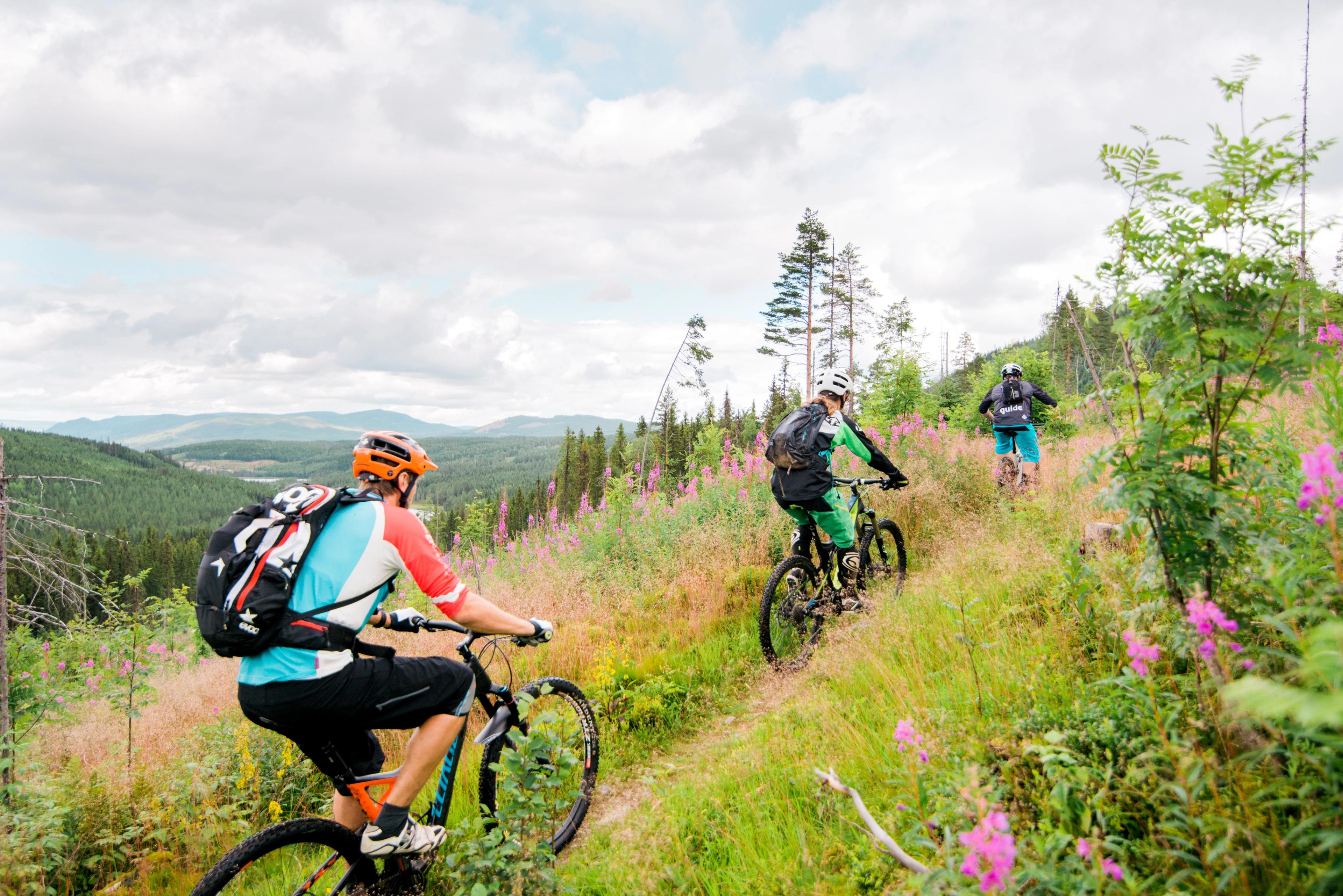 Trail cycling on the hidden tracks in Trysil, Eastern Norway