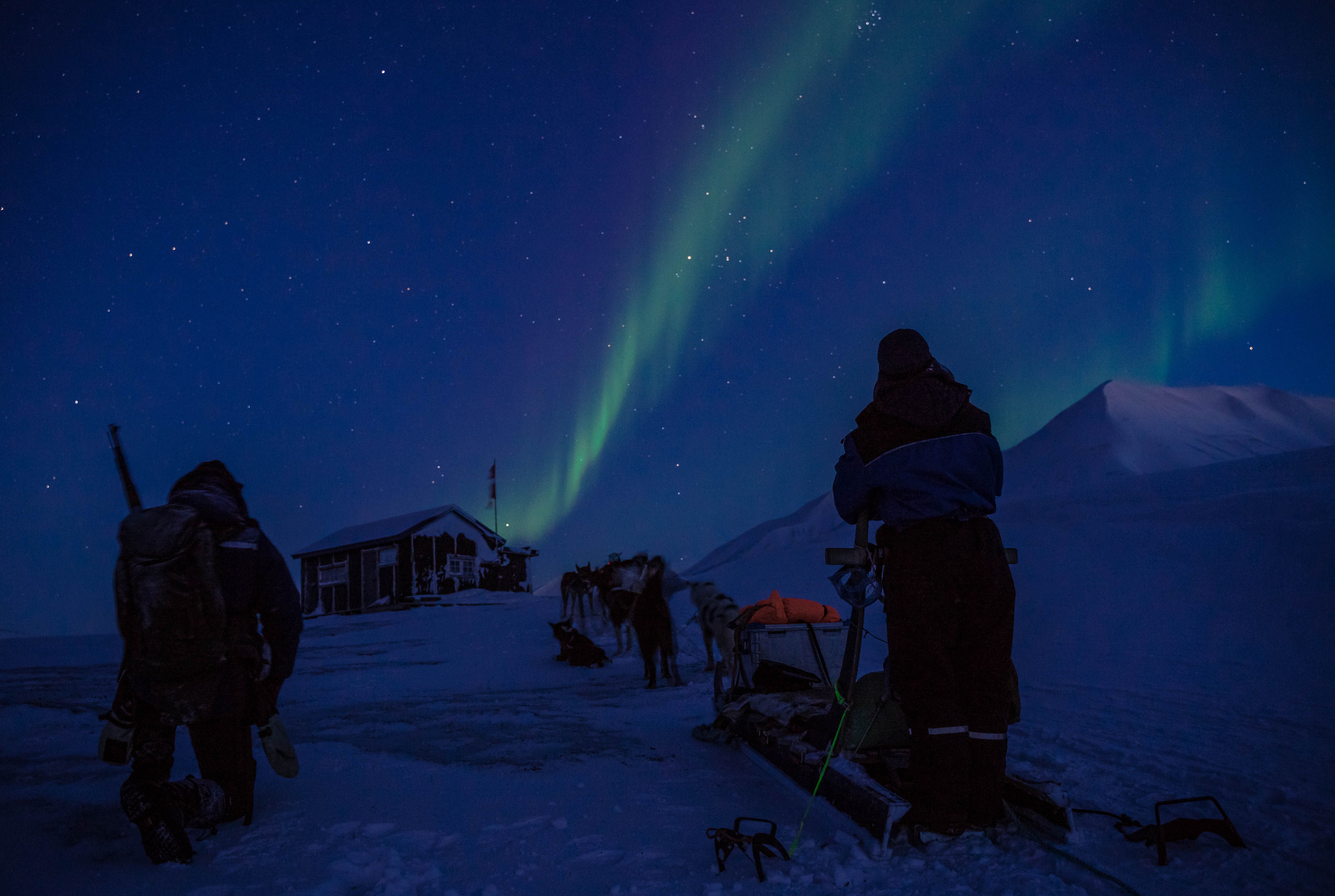 Dog sledding in underneath the northern lights at Svalbard