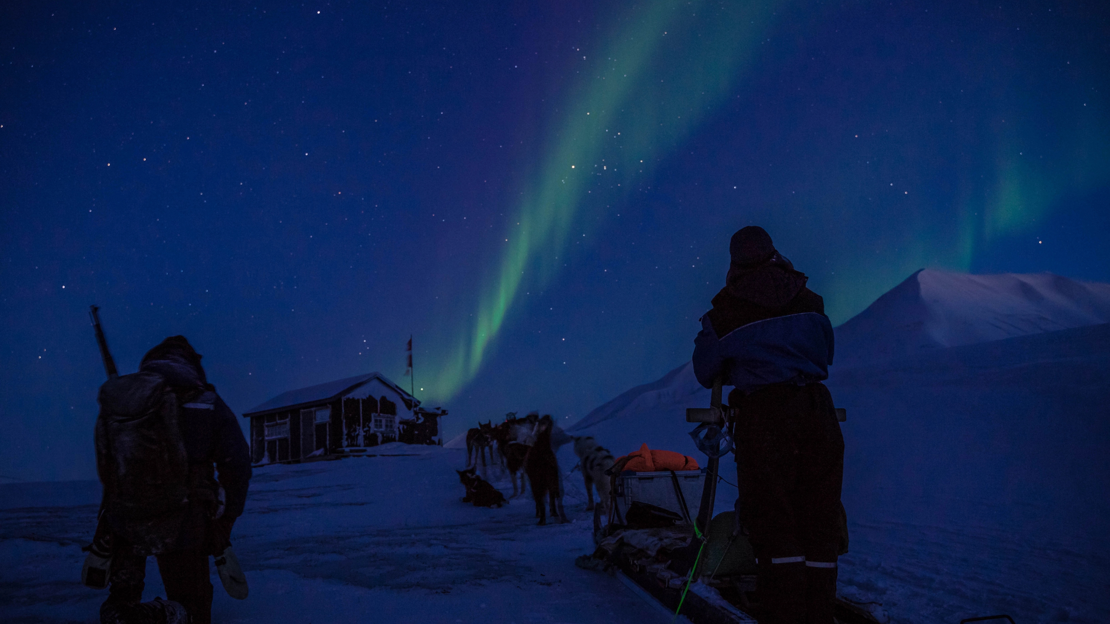 Dog sledding in underneath the northern lights at Svalbard