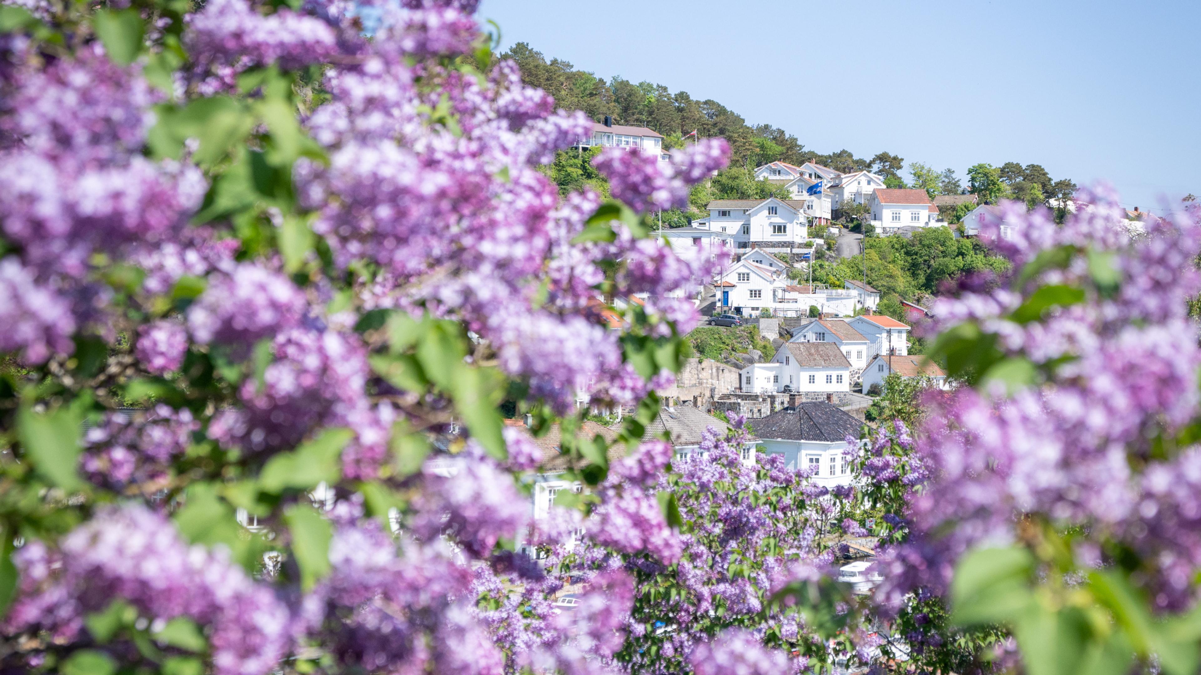 Neighborhood in Risør, Southern Norway
