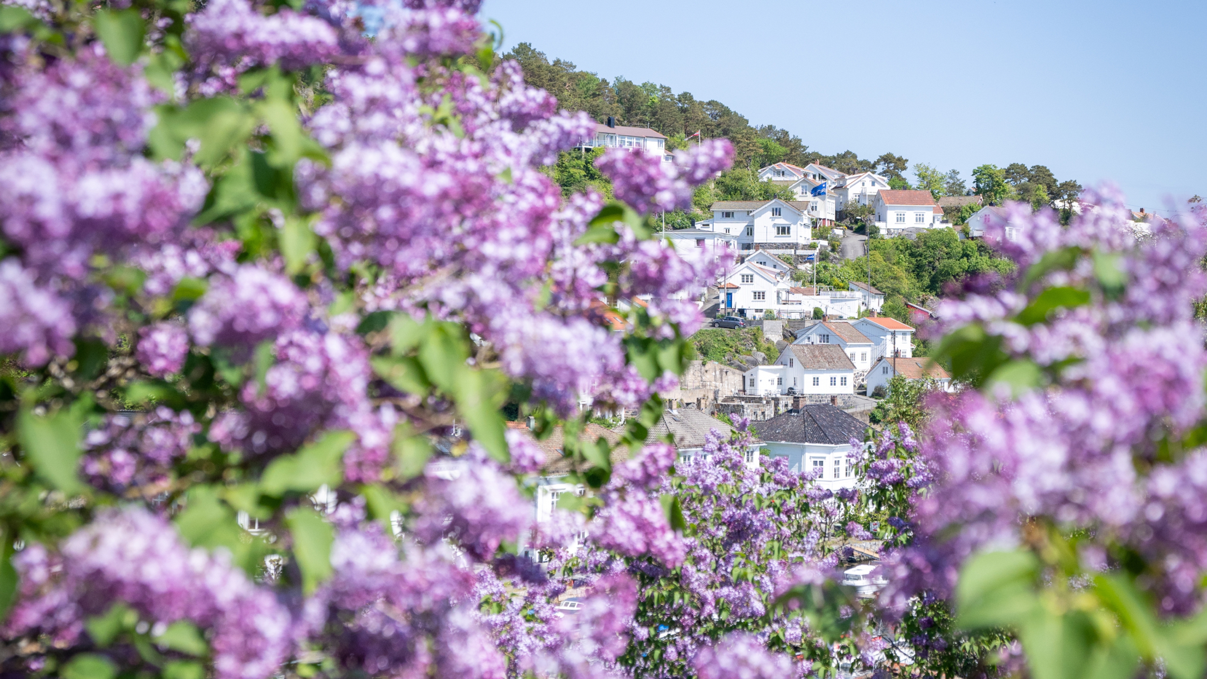 Neighborhood in Risør, Southern Norway
